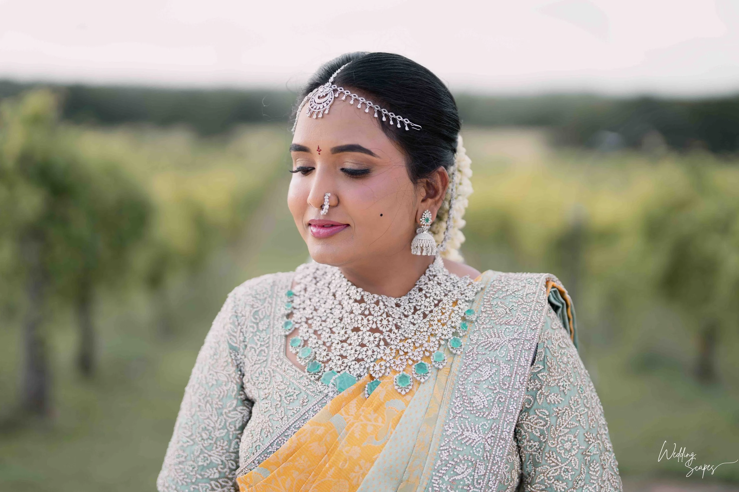 sreelatha-sravan-indian-wedding-villa-at-the-vineyards-austin-texas-32.jpg