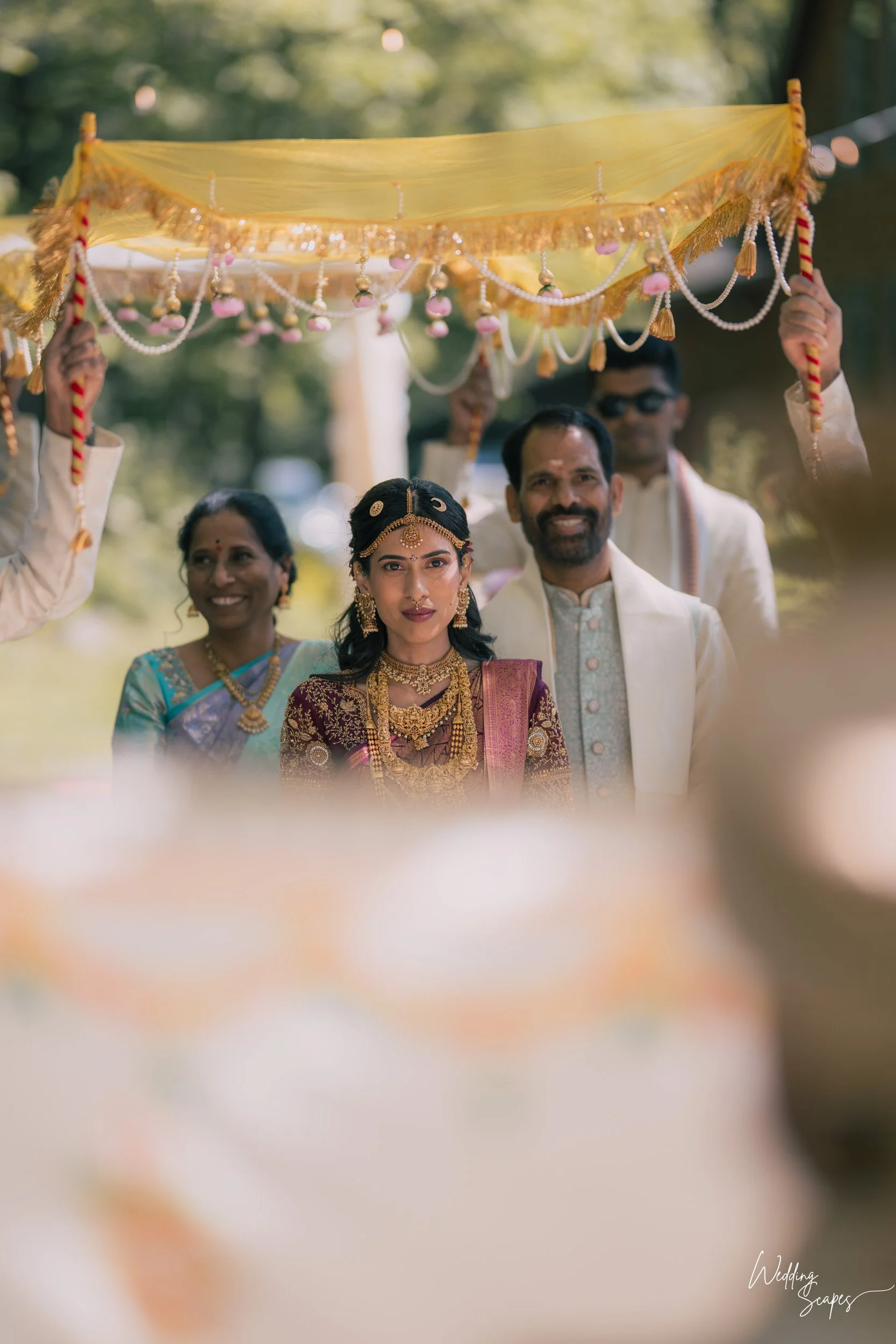 WEDDINGSCAPES_SudhakarBichali_Michigan-TwinLakes-112.jpg