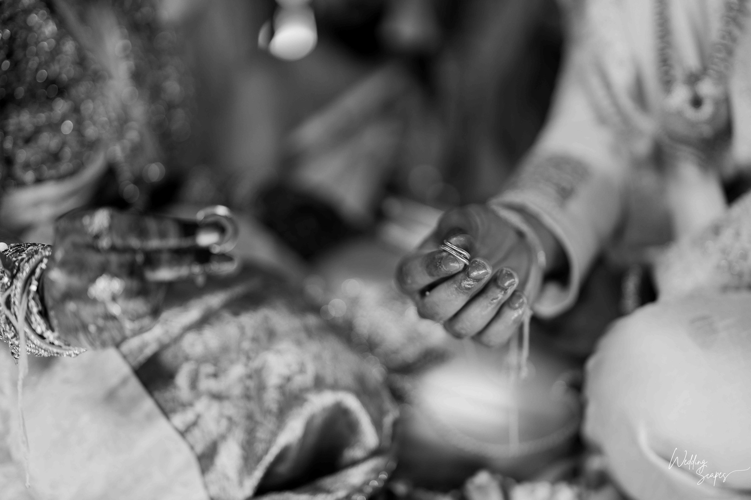 sreelatha-sravan-indian-wedding-villa-at-the-vineyards-austin-texas-103.jpg
