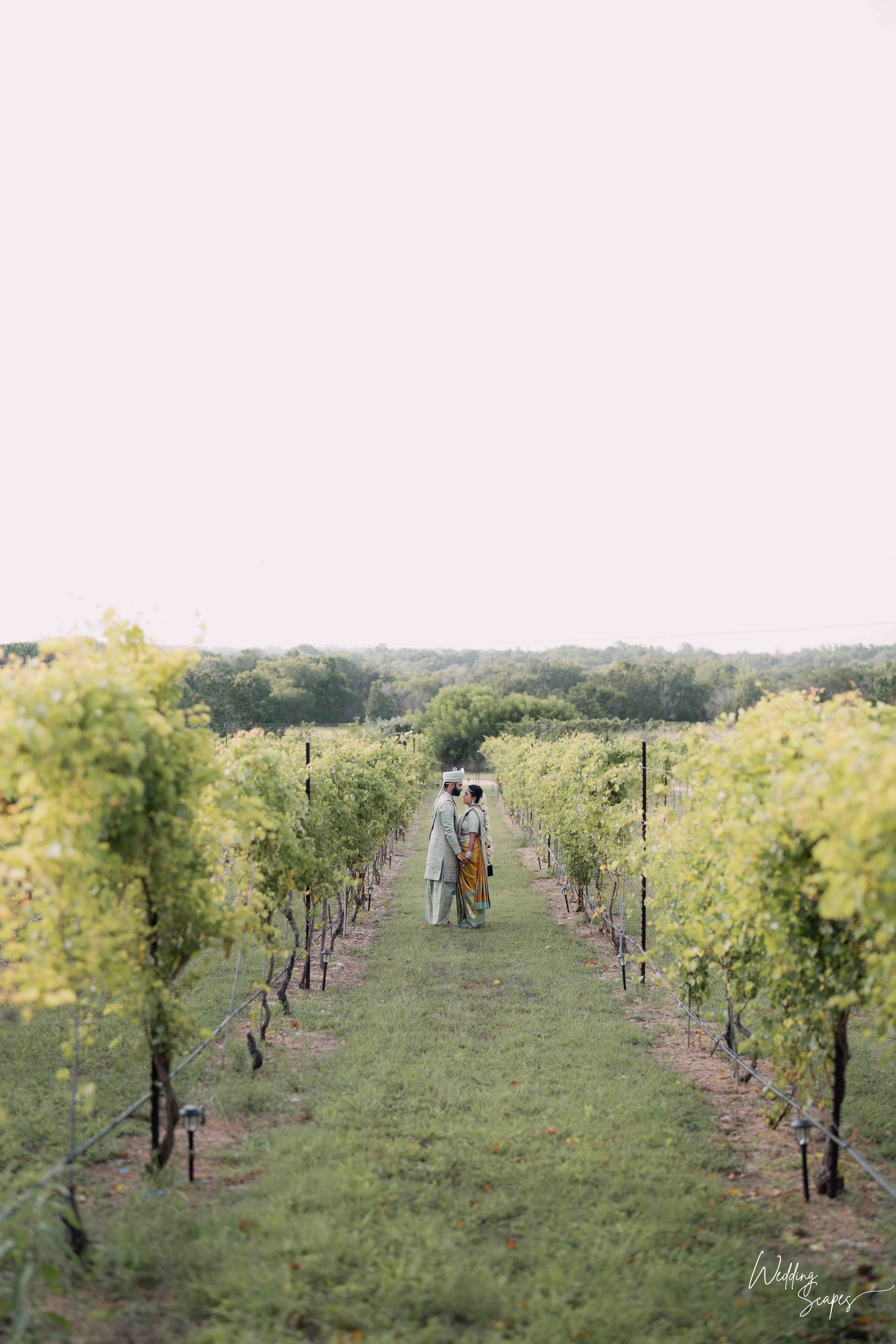 sreelatha-sravan-indian-wedding-villa-at-the-vineyards-austin-texas-21.jpg