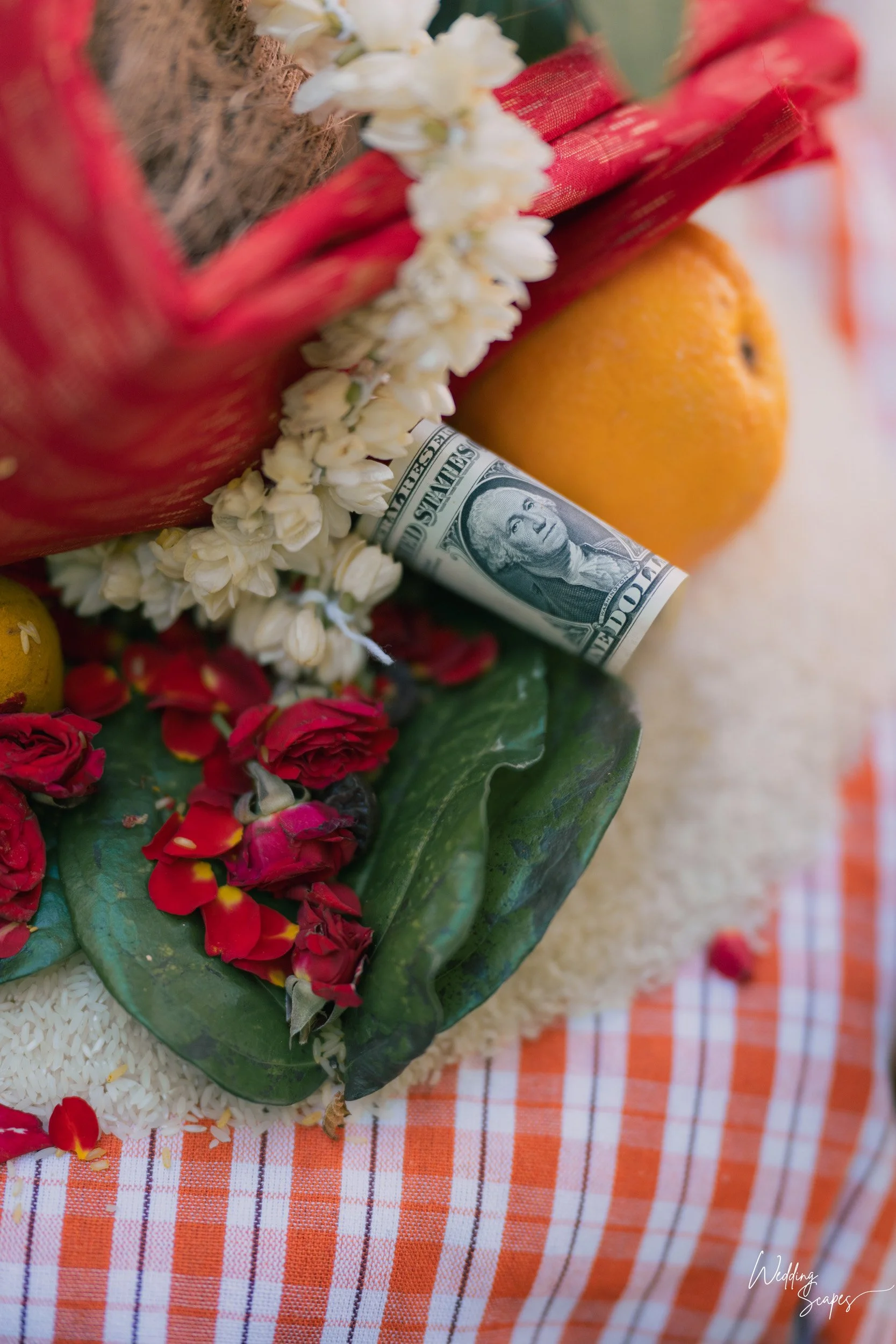 WEDDINGSCAPES_SudhakarBichali_Michigan-TwinLakes-115.jpg