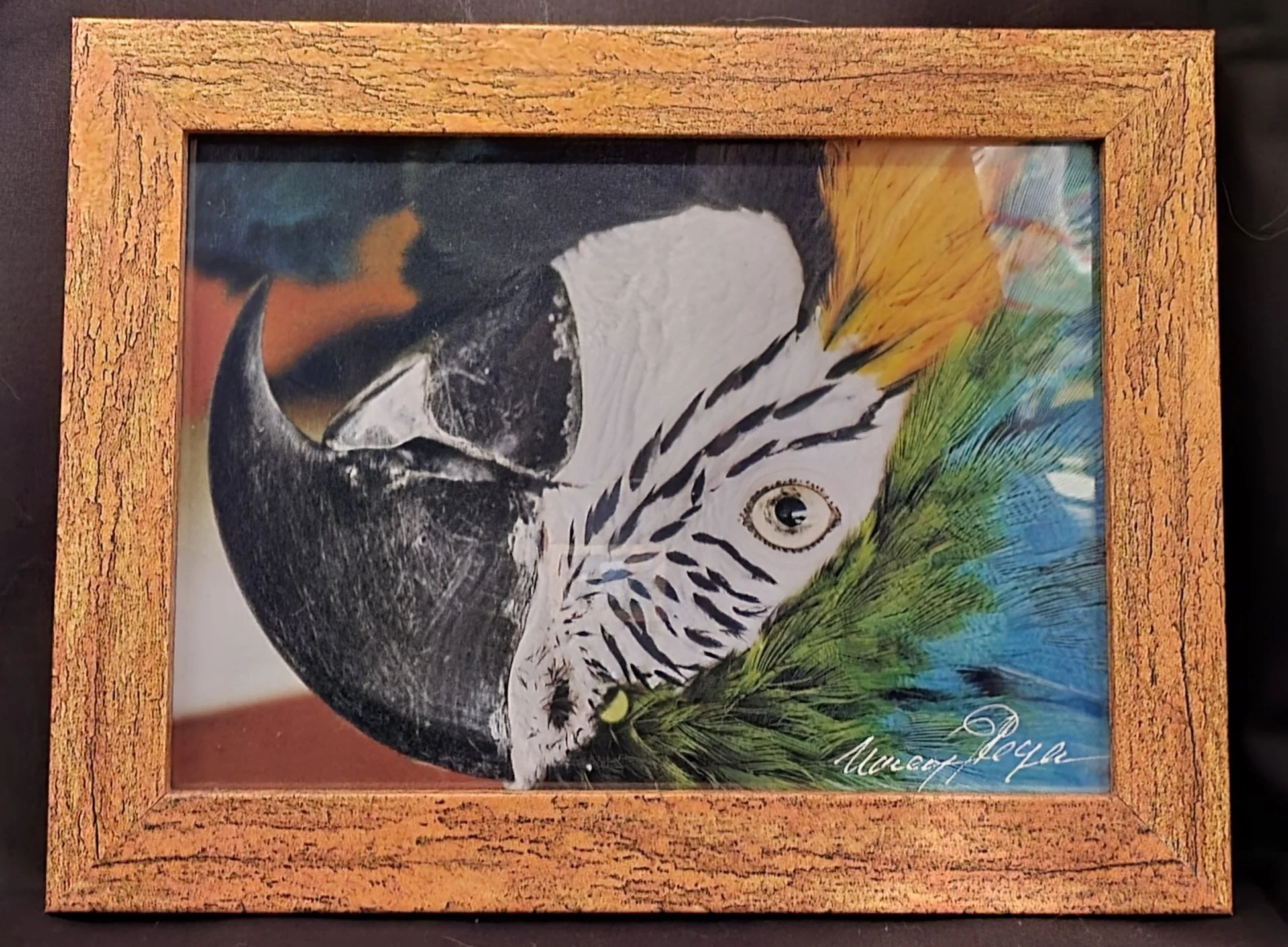 Topsy Turvy Parrot - Nancy Reyes.jpg