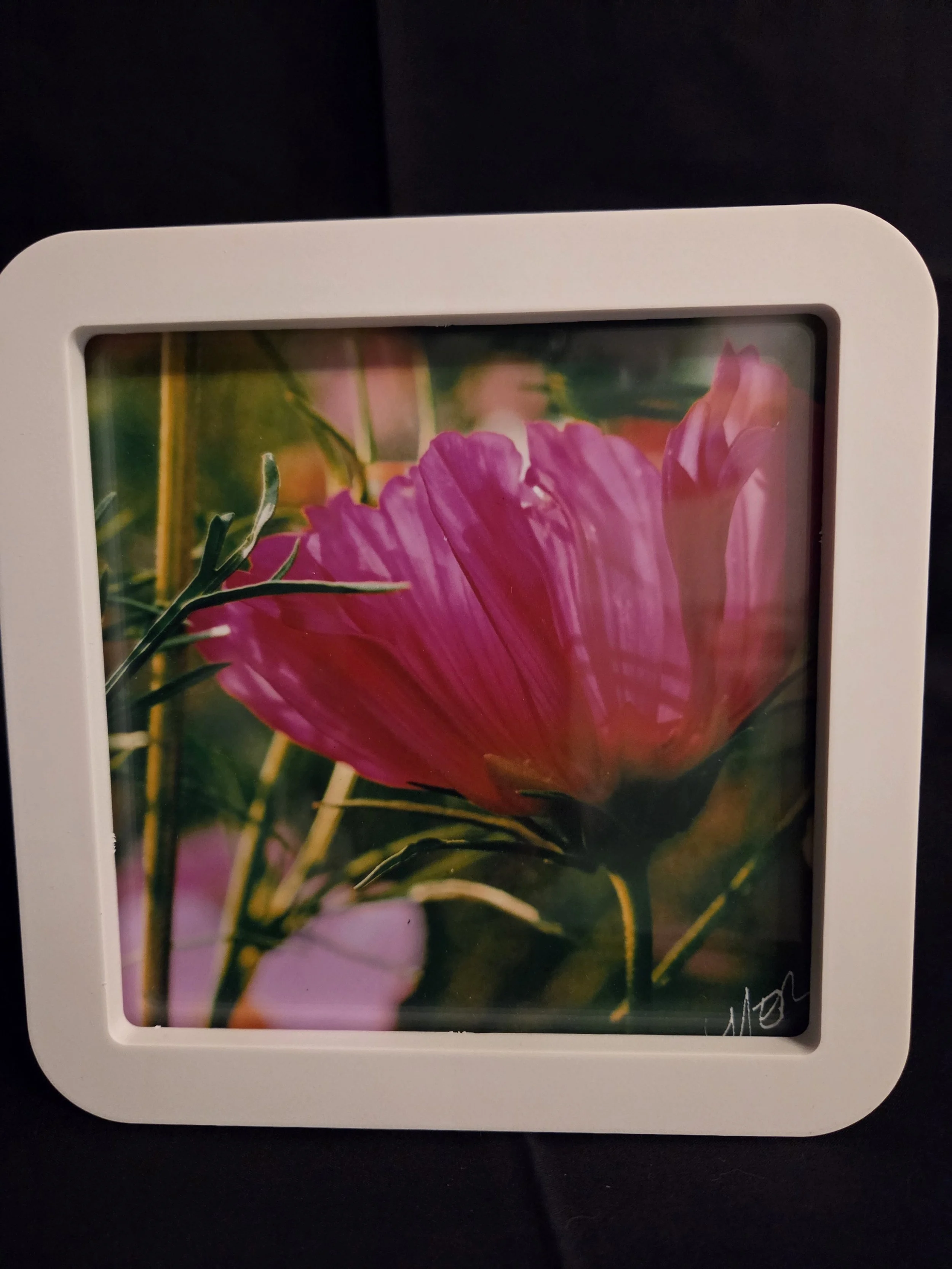 Flower Budside - Nancy Reyes.jpg