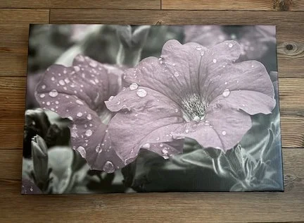 Springtime Shower canvas 16x24 - The Farmer's Daughter's Flowers.jpg