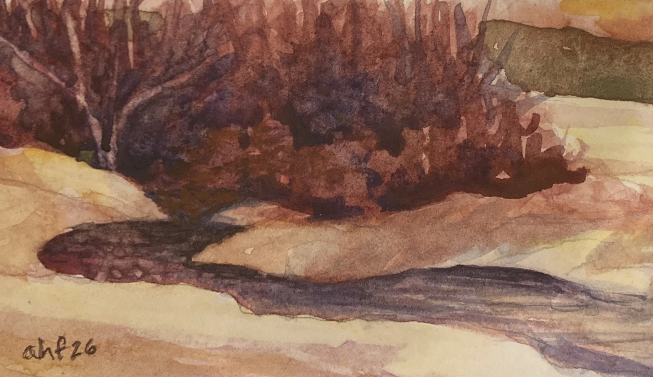 AHF936 Falling Spring, Last Light - Anne F..jpg