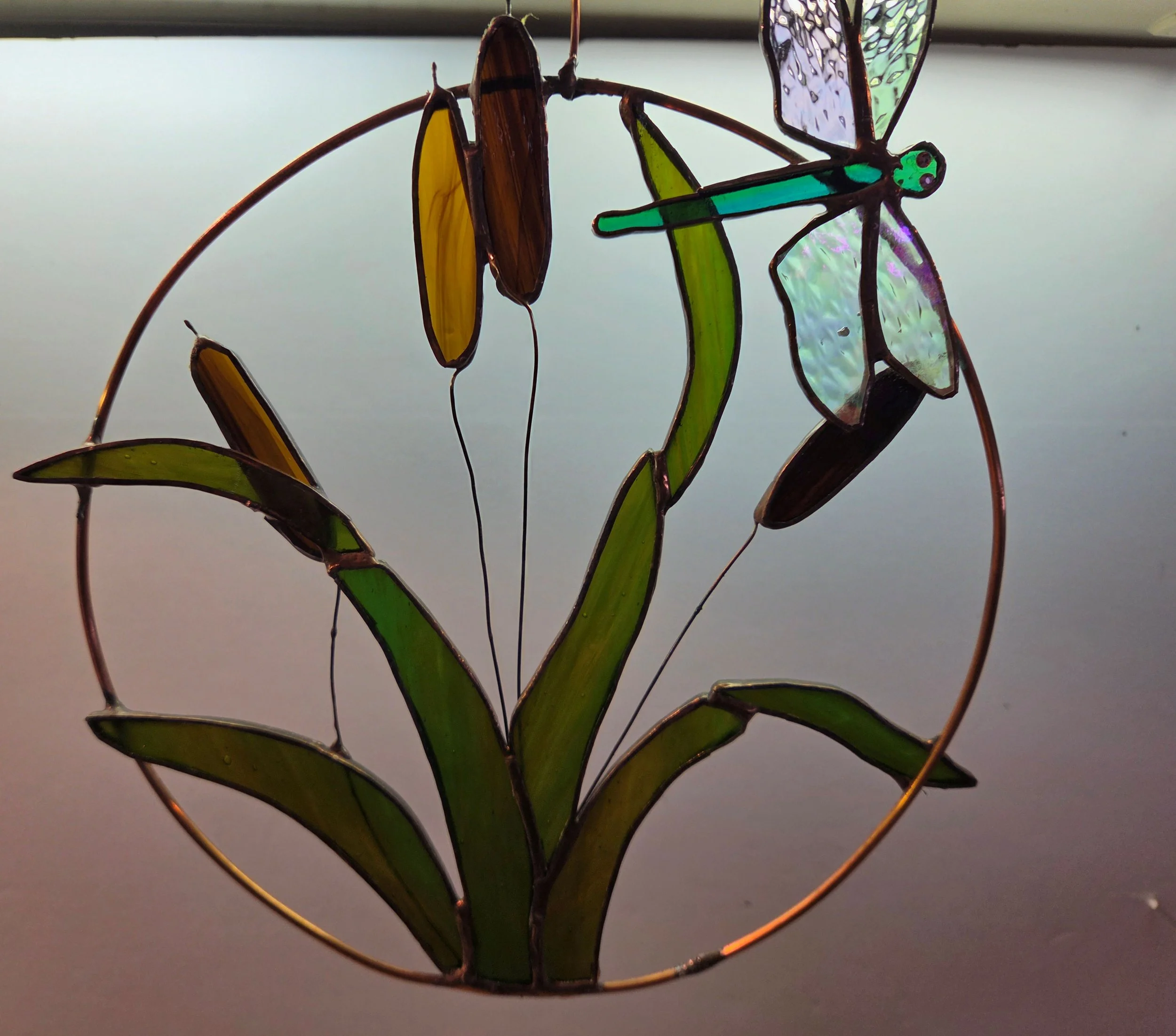 new Cattails and dragonfly - leon Adler.jpg