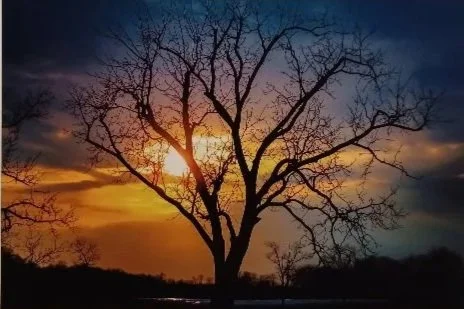 Becky Wright - 
Photography