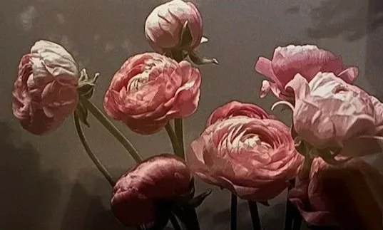 By+the+Light+of+the+Moon+white+frame+and+mat+11x17+-+The+Farmer%27s+Daughter%27s+Flowers.jpg (Copy) (Copy)