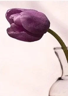 Pretty+in+Purple+framed+5x7+-+The+Farmer%27s+Daughter%27s+Flowers.jpg (Copy) (Copy)