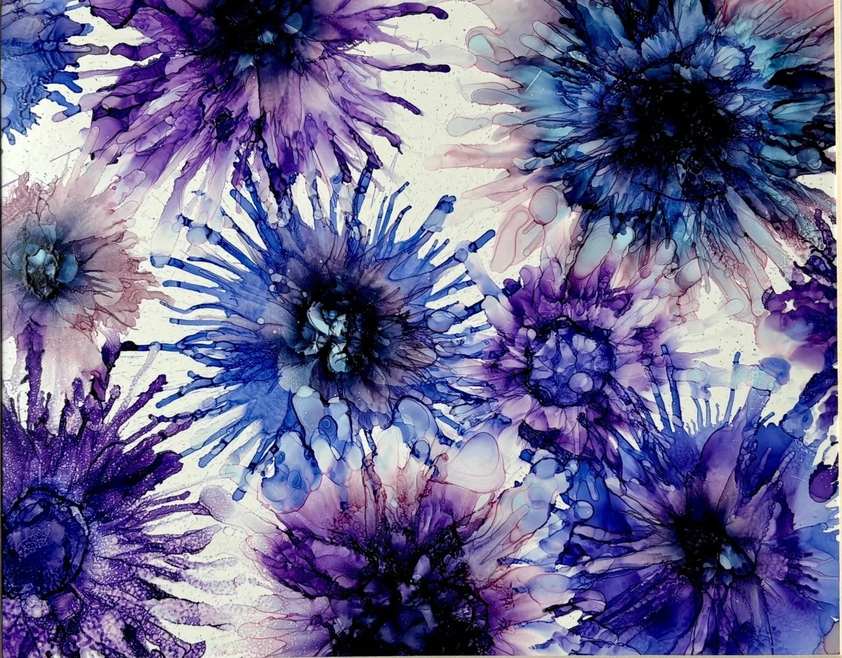 Baby+Blues.jpg (Copy) (Copy)