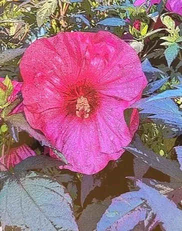 Queen+of+the+Garden+framed+11x14+-+The+Farmer%27s+Daughter%27s+Flowers.jpg (Copy) (Copy)