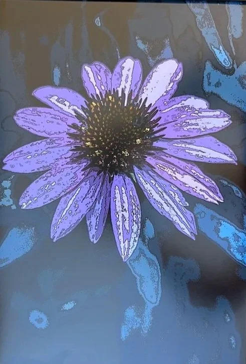 Peace+Out+13x19+-+The+Farmer%27s+Daughter%27s+Flowers.jpg (Copy) (Copy)