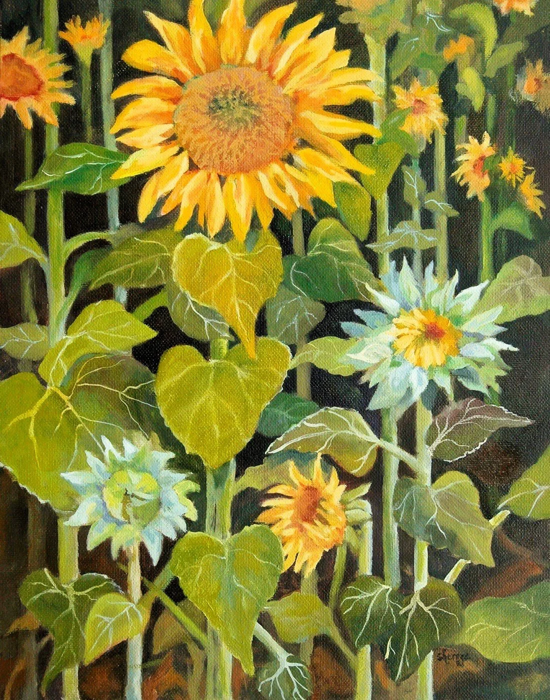 Sunflowers - sherree devor.jpg