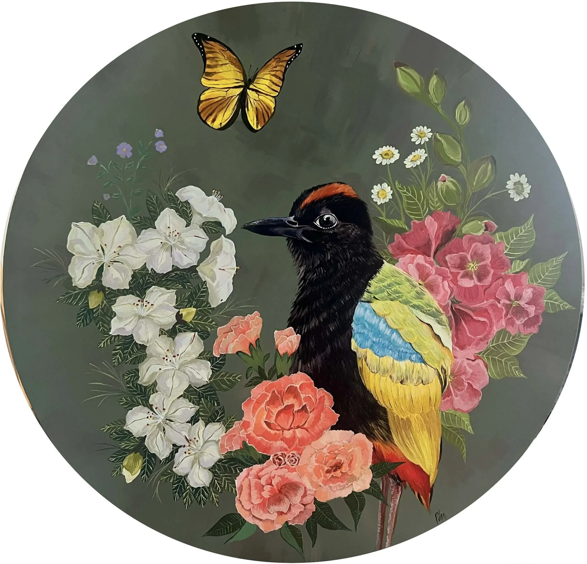 Paola Diaz -Blue Pitta - acrylic $540