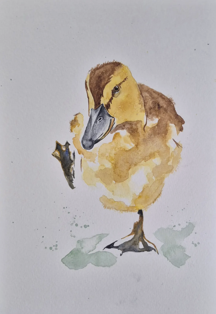 Quack quack.png