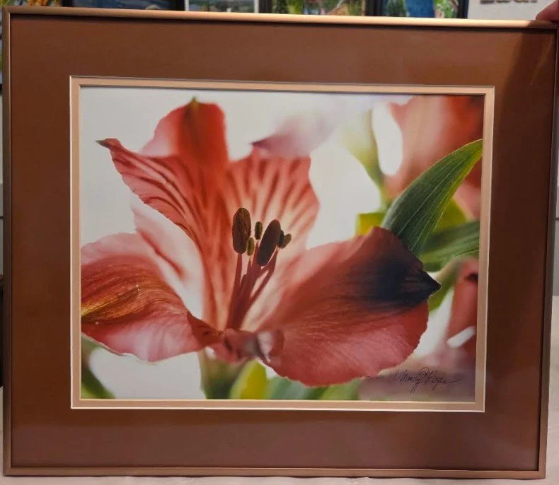 Nancy Reyes - Fire Flower 1 - photograph - NER326 - $65