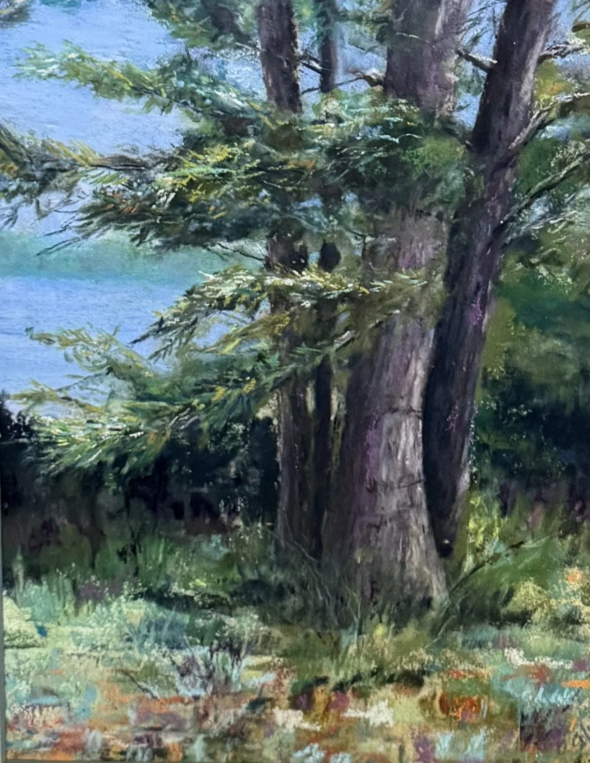 IMG_1957 - jgwalker2003@comcast.net.jpeg