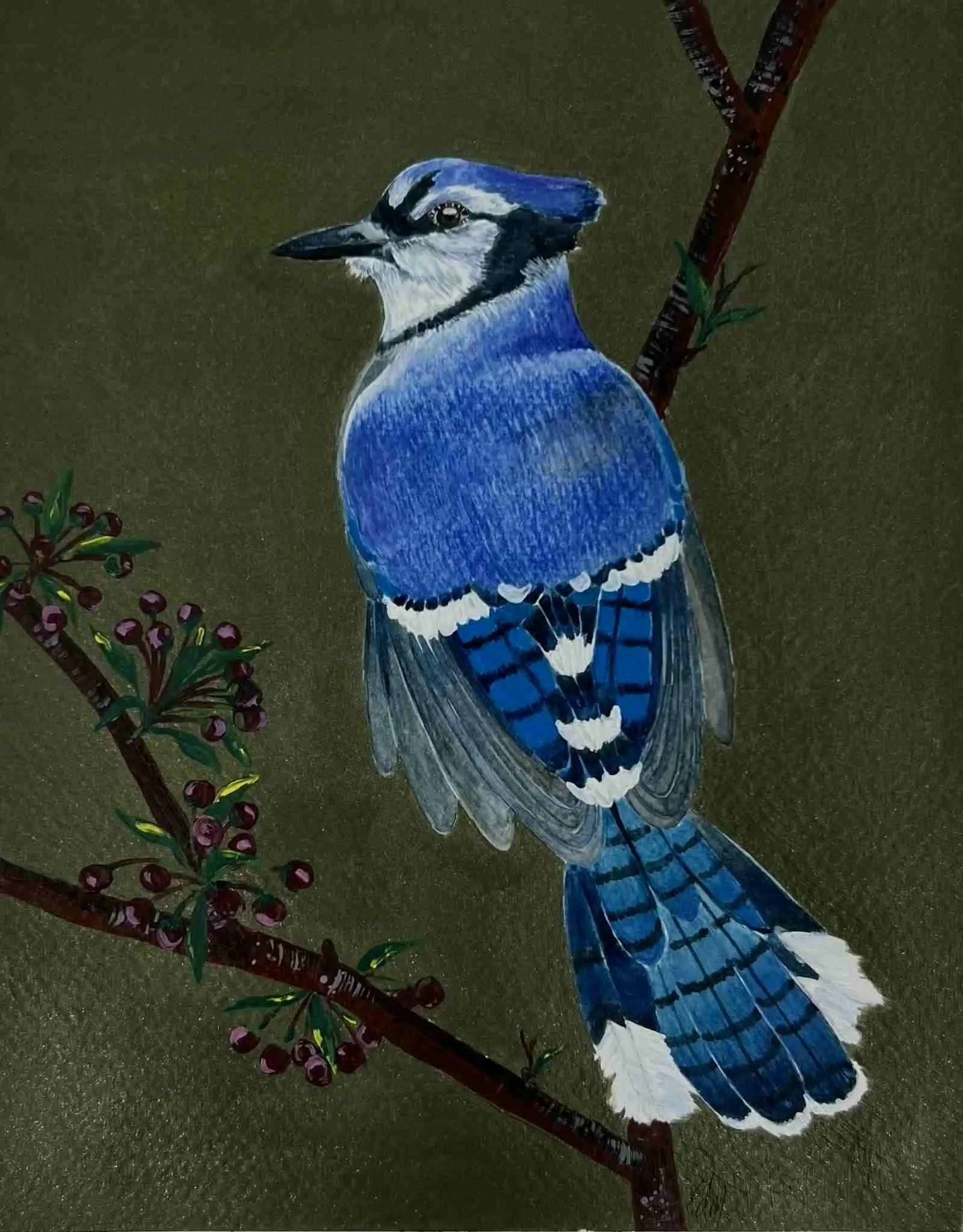 Paola Diaz - Blue Jay - mixed media $230