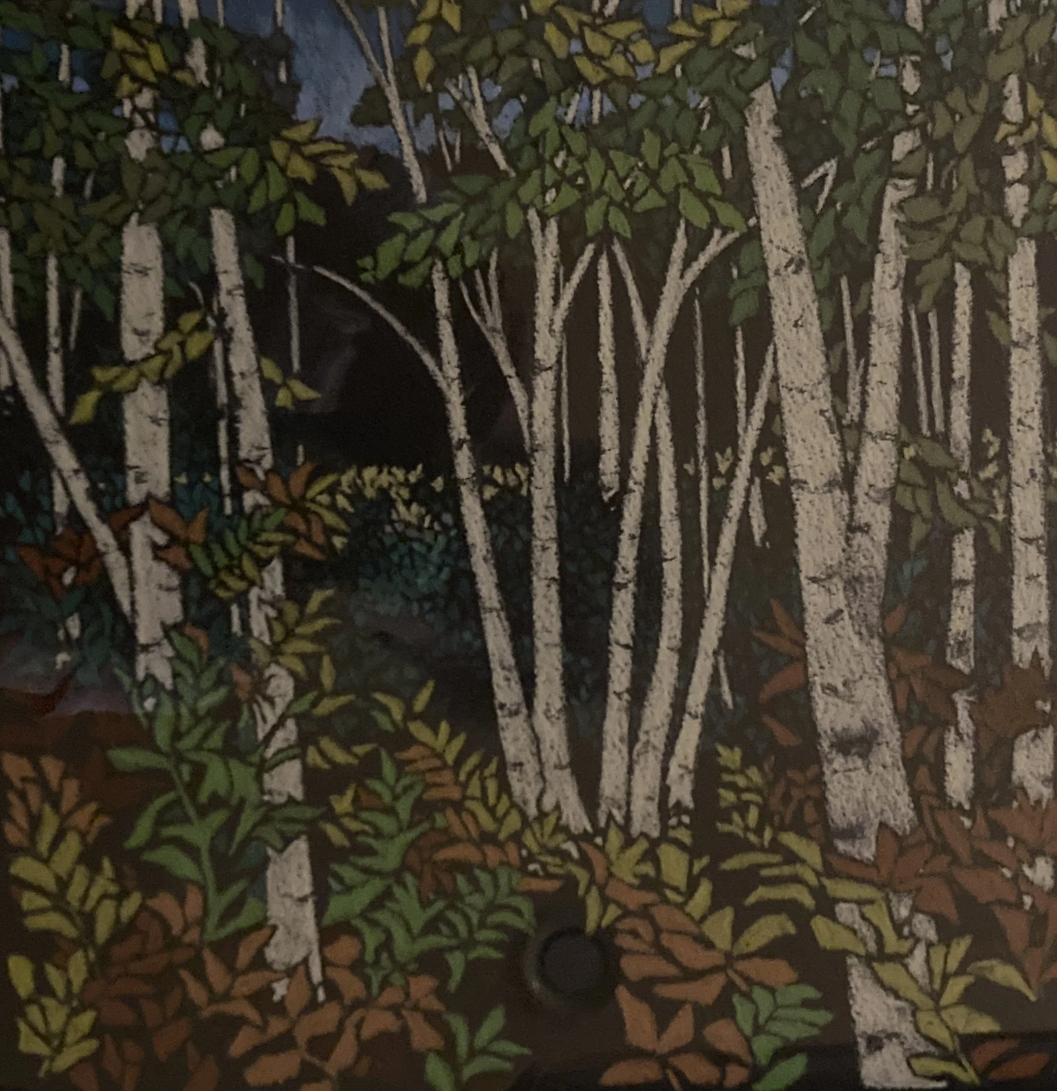AHF121 Birch Grove - Anne F..jpg