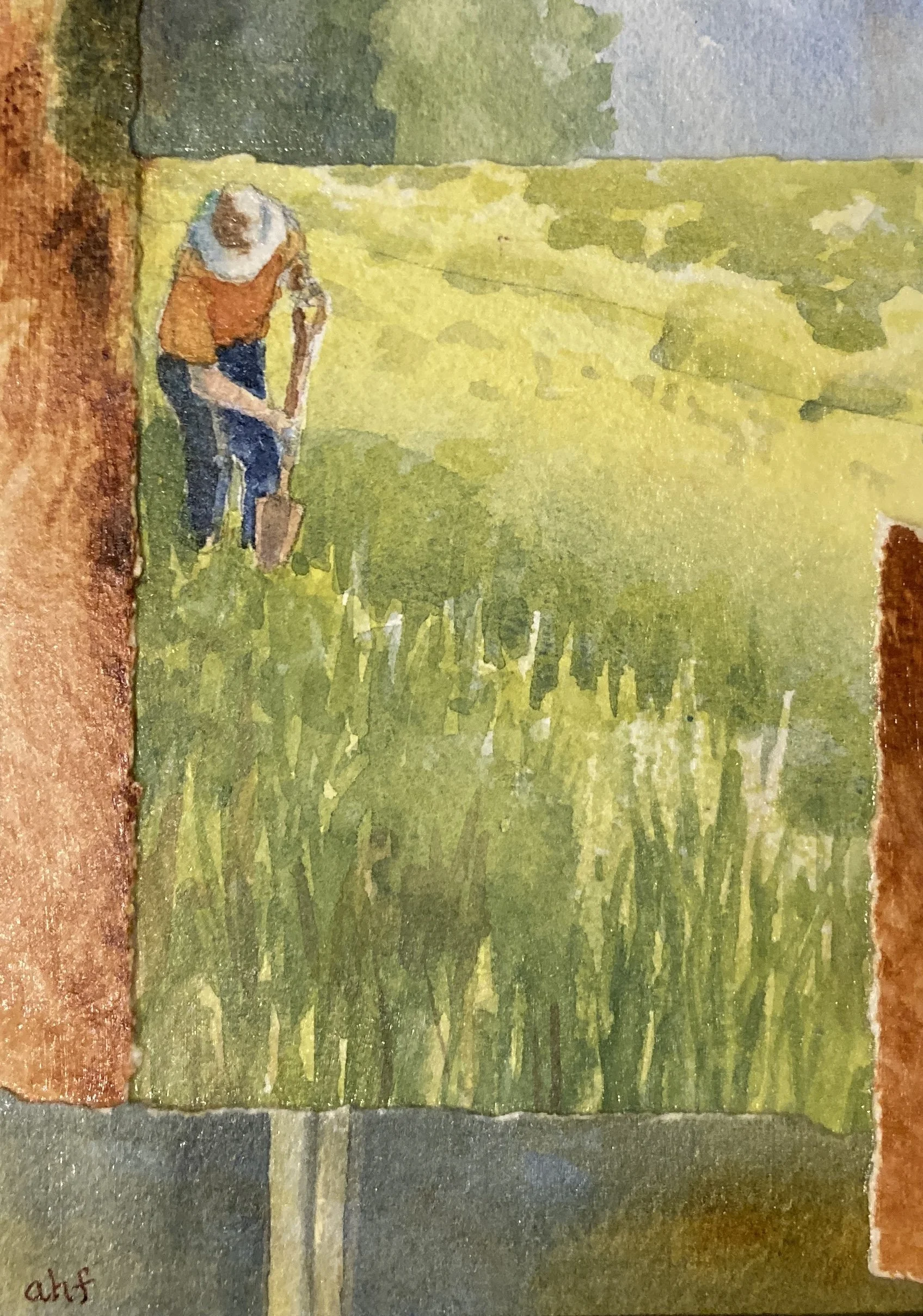 AHF662 Pasture_Earth - Anne F..jpg