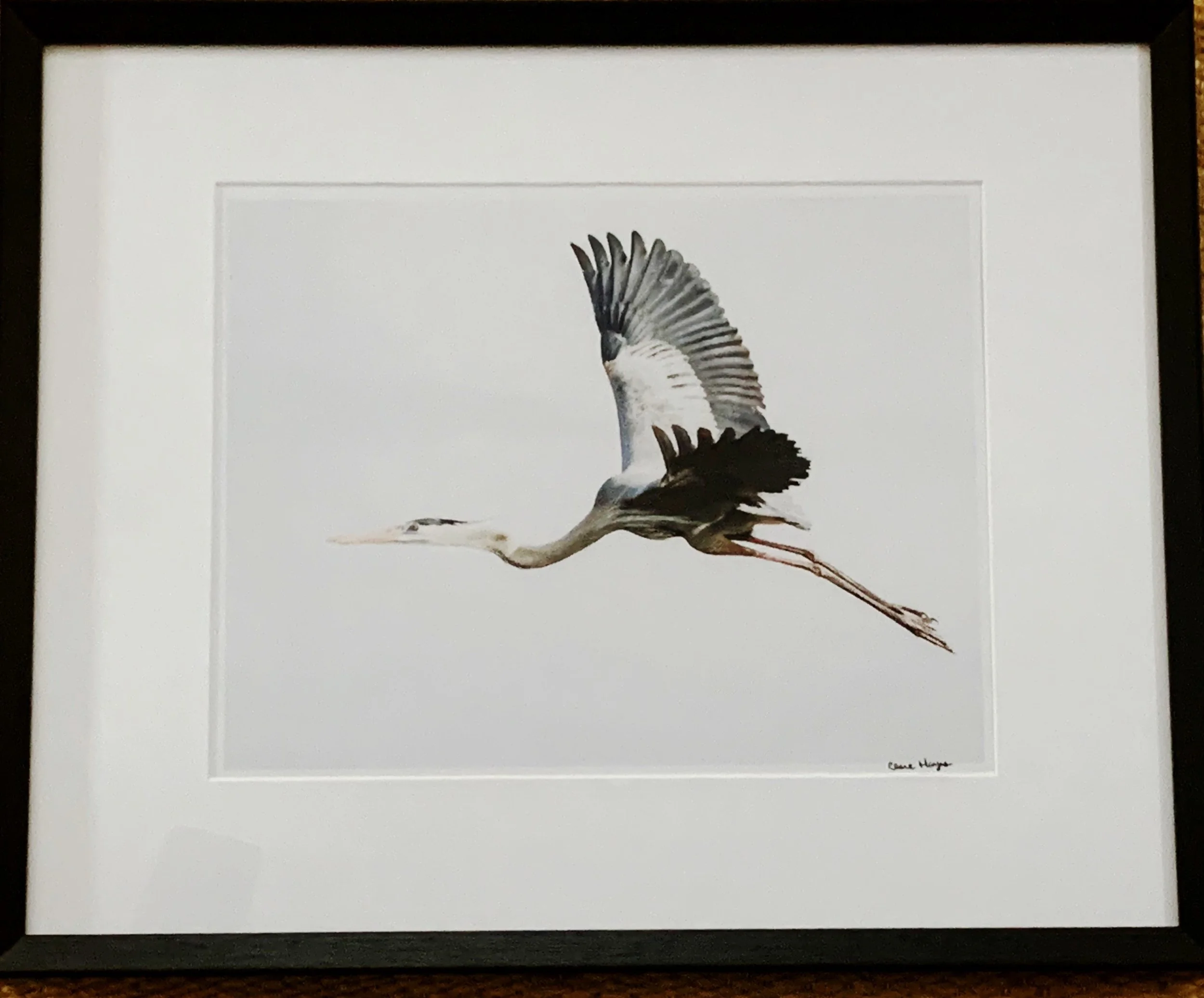 ACS_2009 - Clare Hayes.jpeg