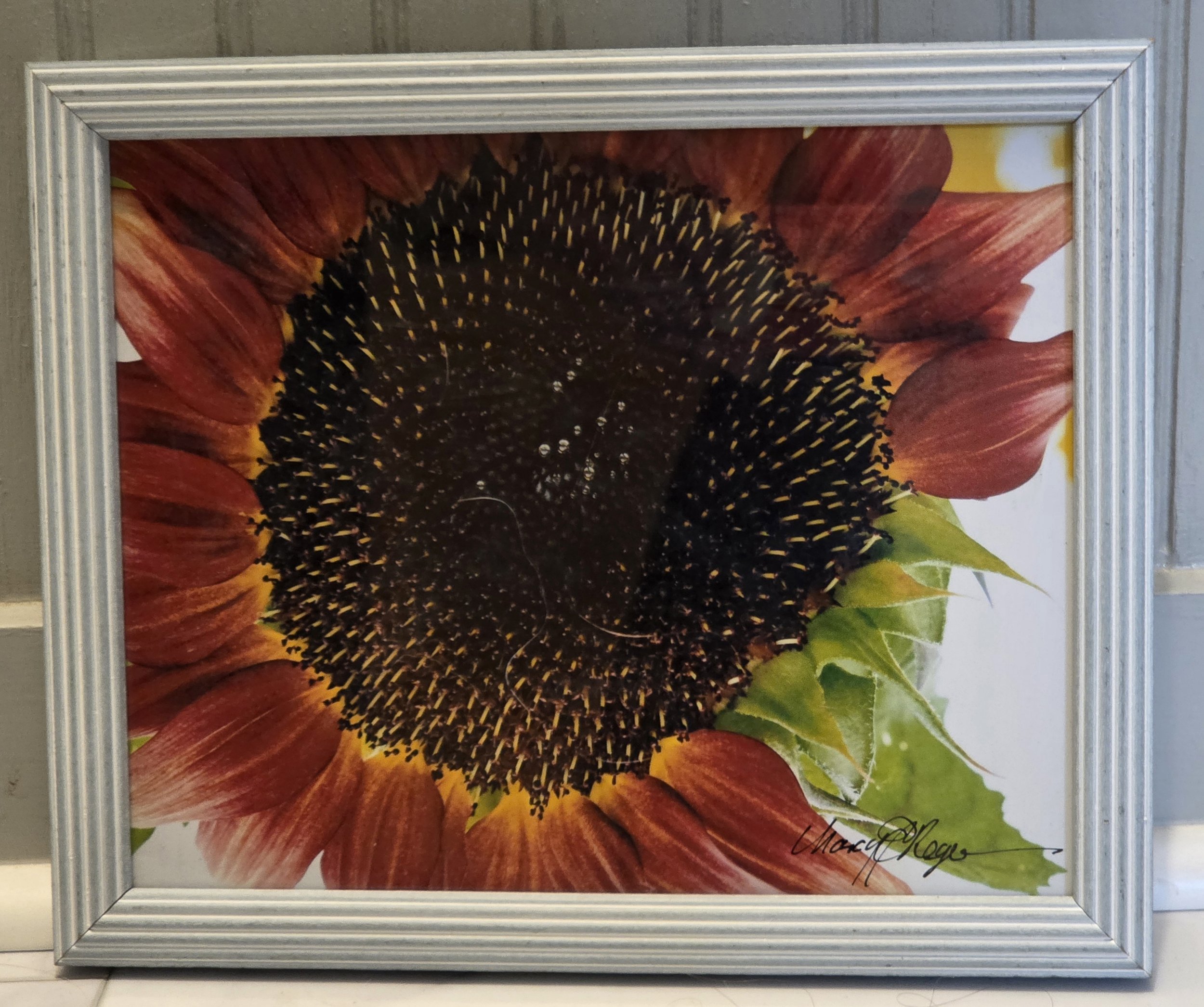 Piece of Green Sunflower 2 - Nancy Reyes.jpg