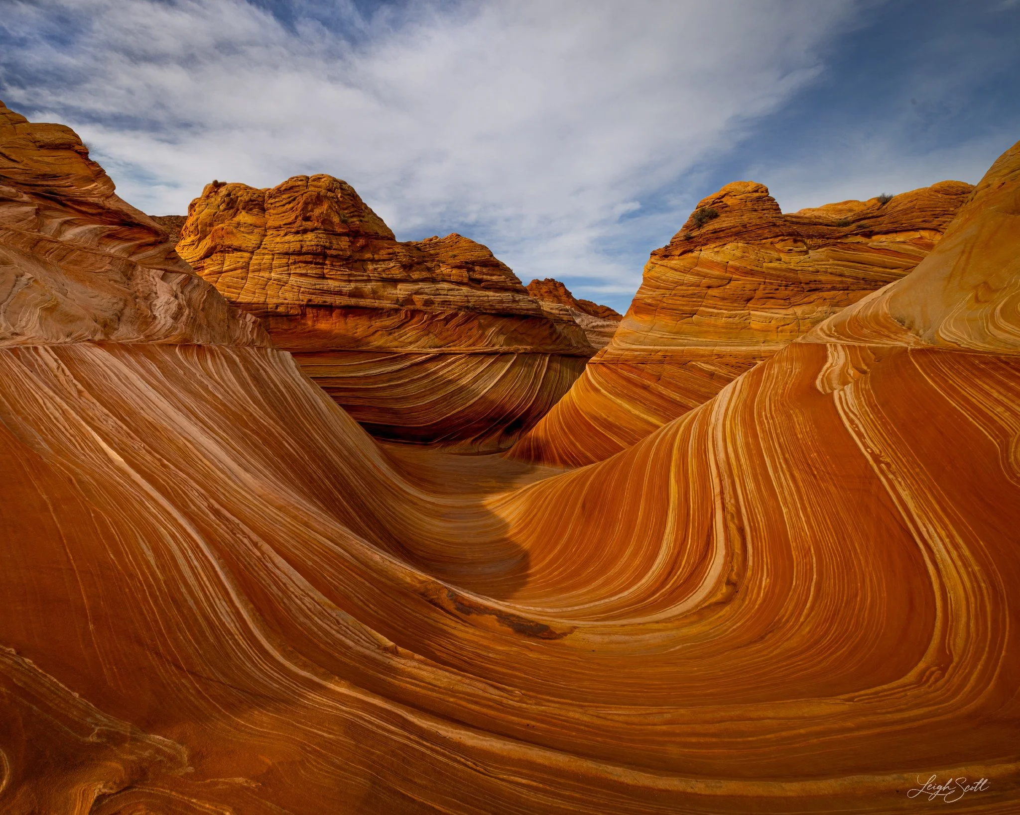 the wave 9991 - Leigh Scott.jpg