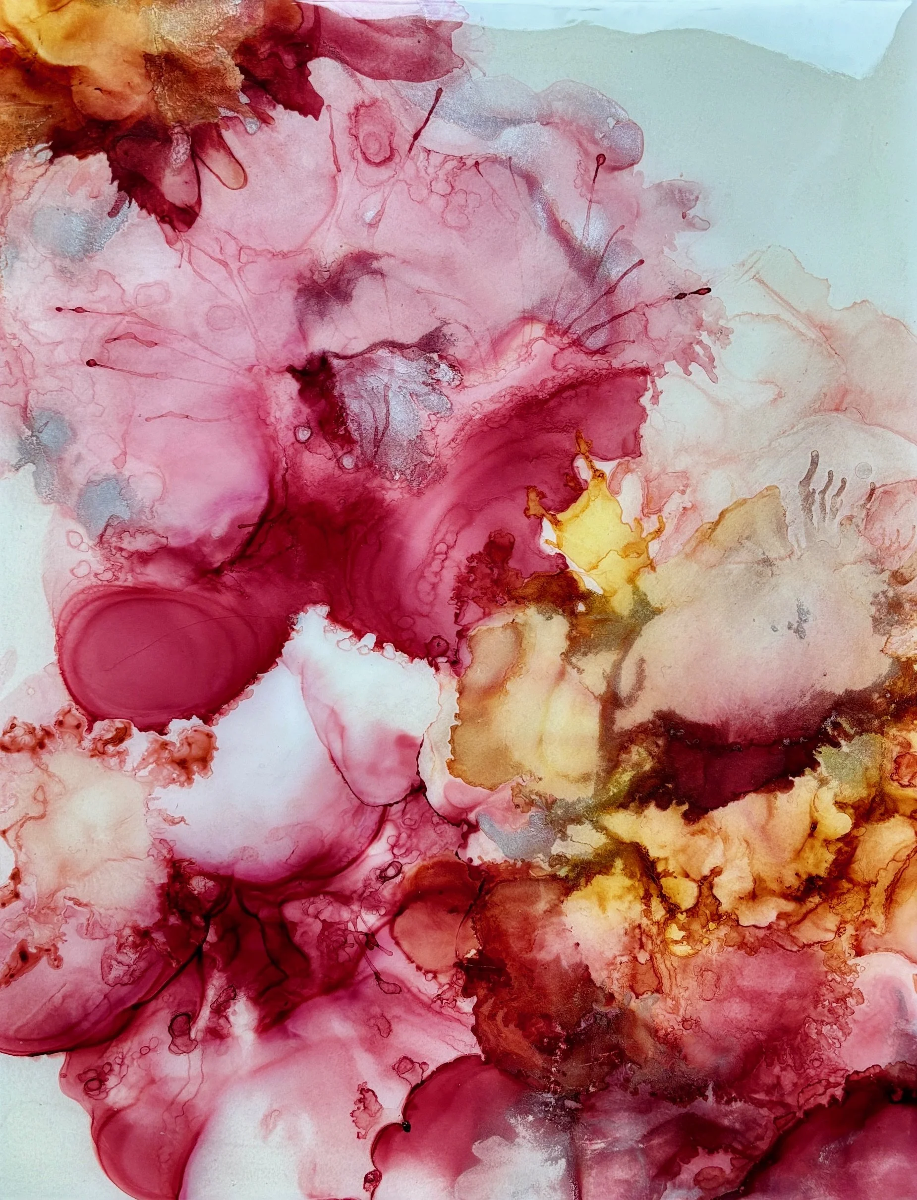 Hibiscus in Ink.jpeg