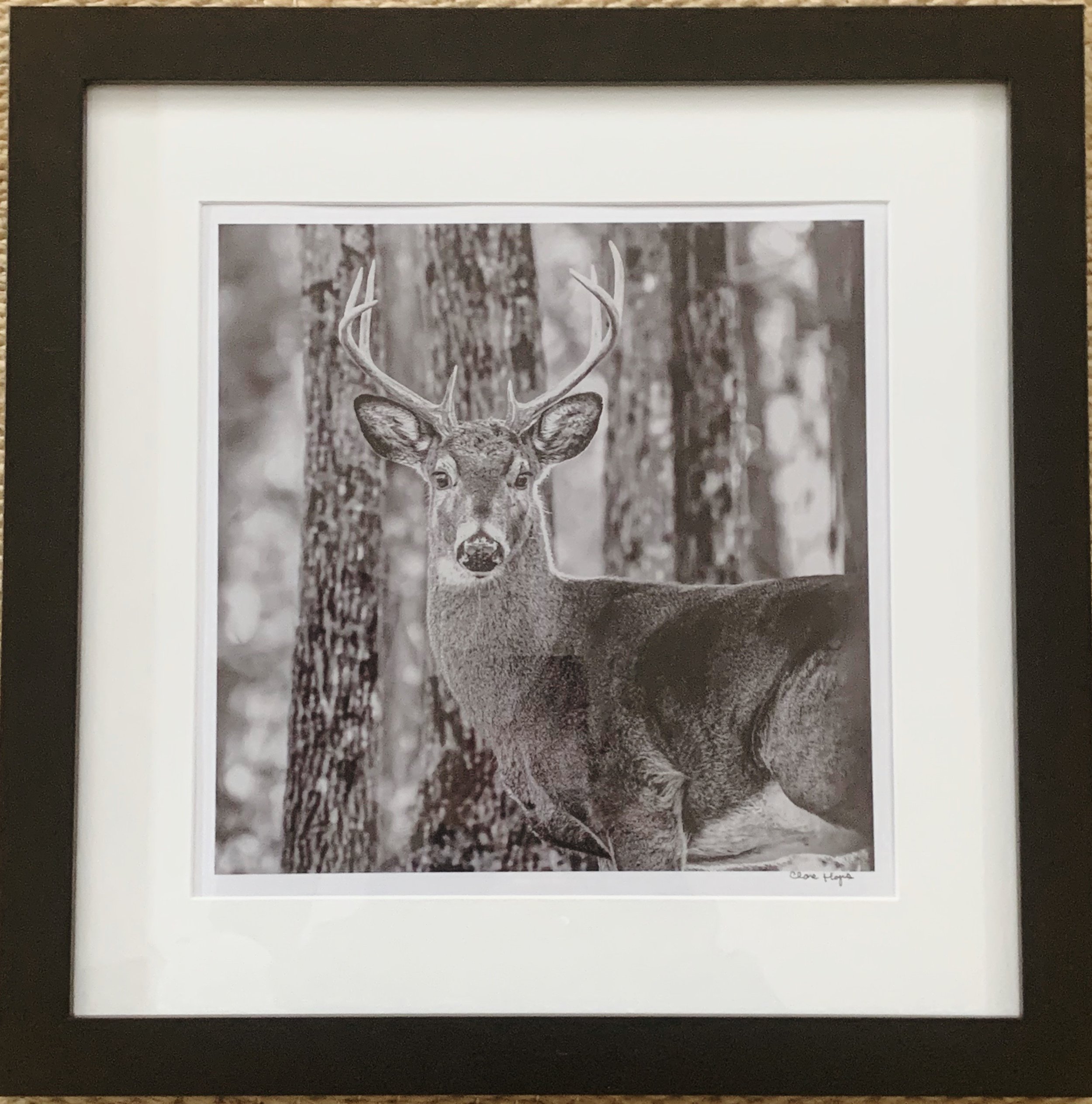 ACS_2012 - Clare Hayes.jpeg