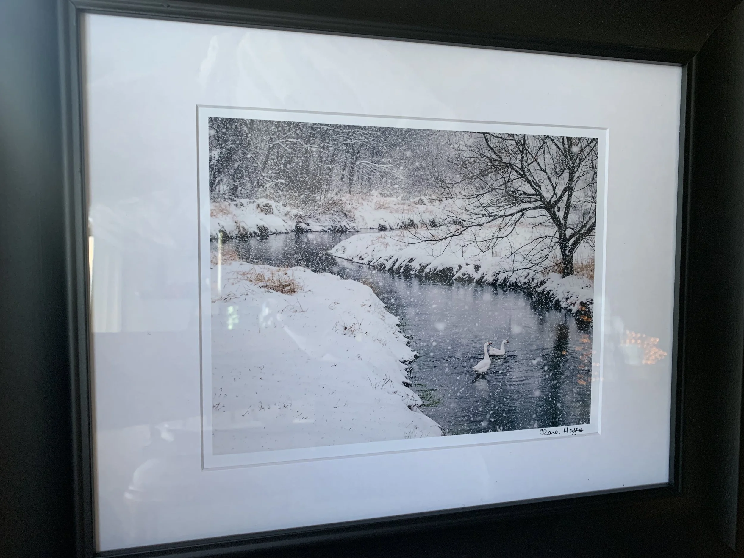 IMG_1690 - Clare Hayes.jpeg