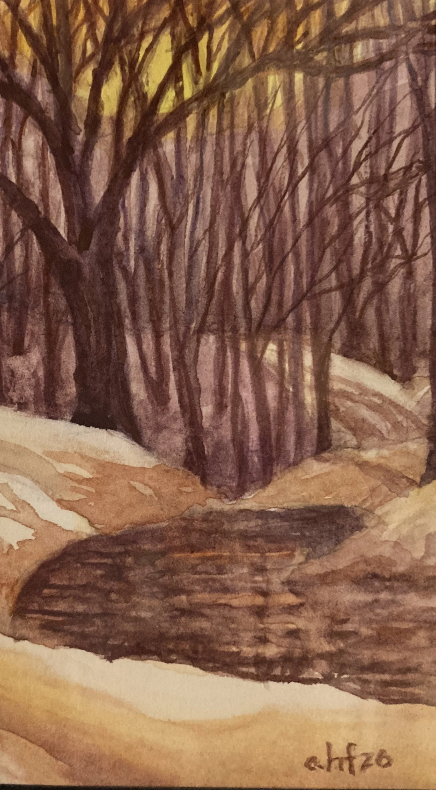 AHF935 Falling Spring Sunset - Anne F..jpg