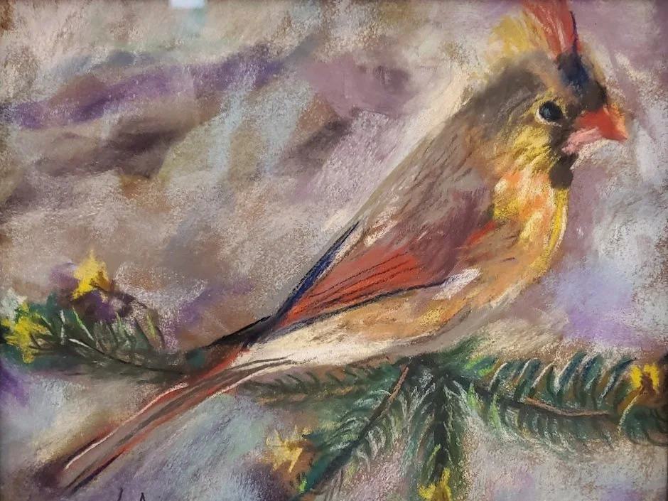 cardinal on a branch