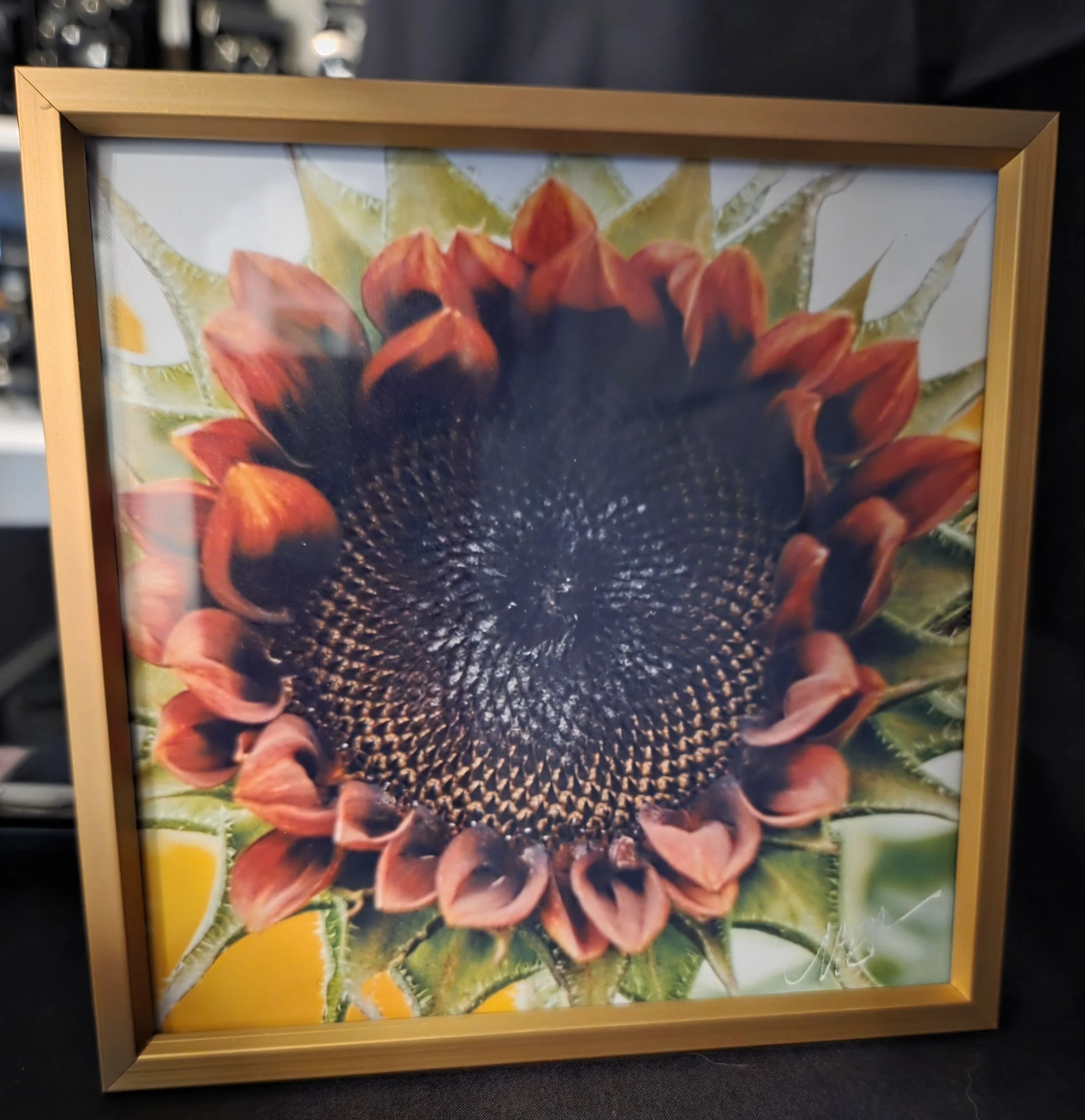 Red Round Sunflower - Nancy Reyes.jpg