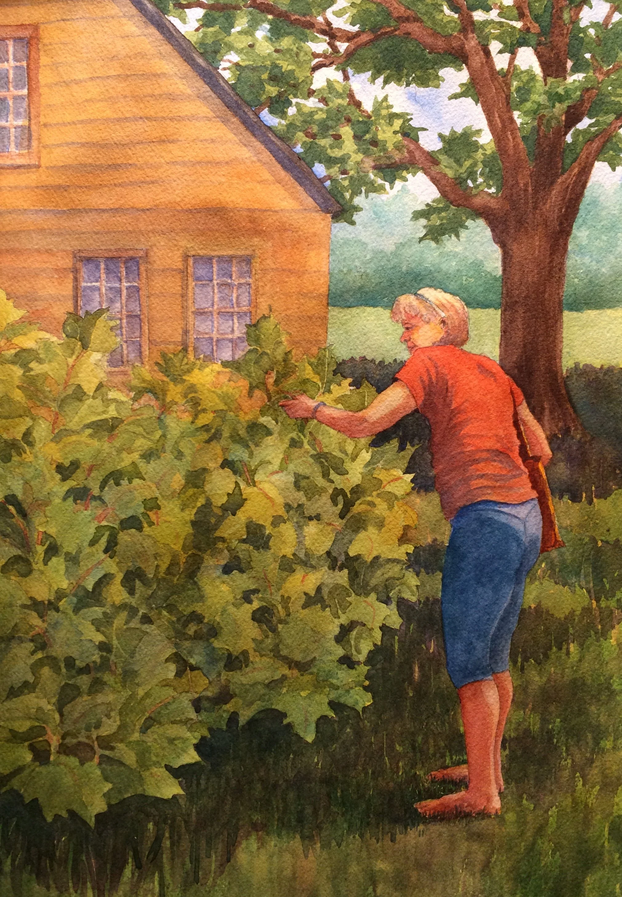 Anne Finucane - Jackie’s Garden -	watercolor - $300