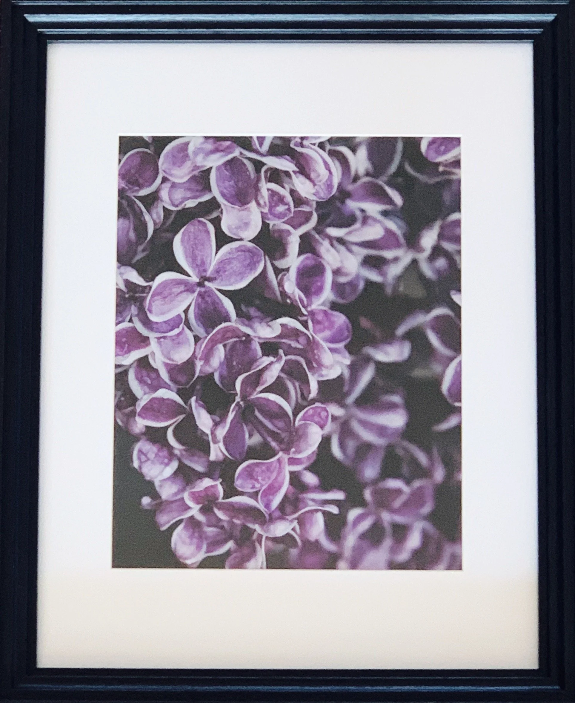 ACS_2003 - Clare Hayes.jpeg