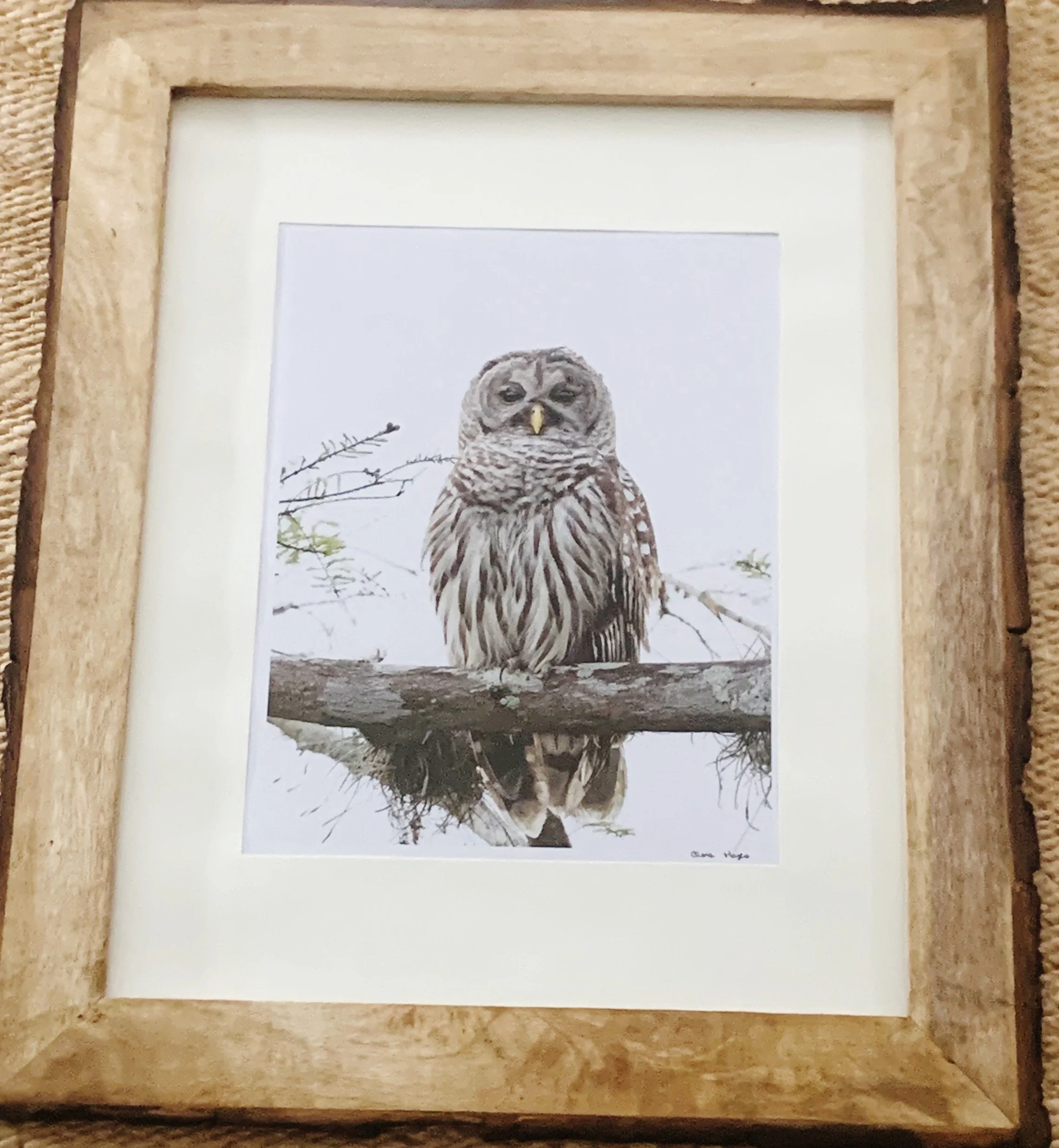 ACS_2008 - Clare Hayes.jpeg