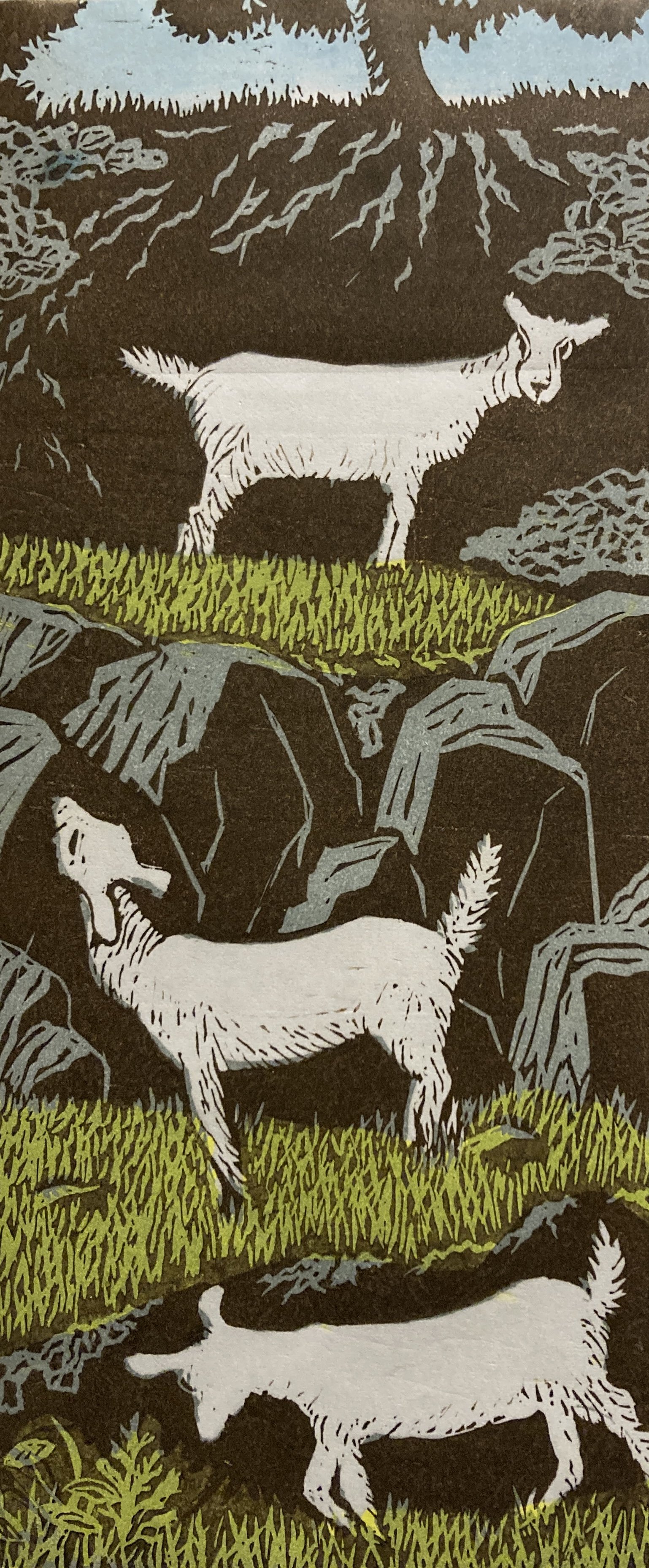 AHF488 Three Goats - Anne F. (1).jpg