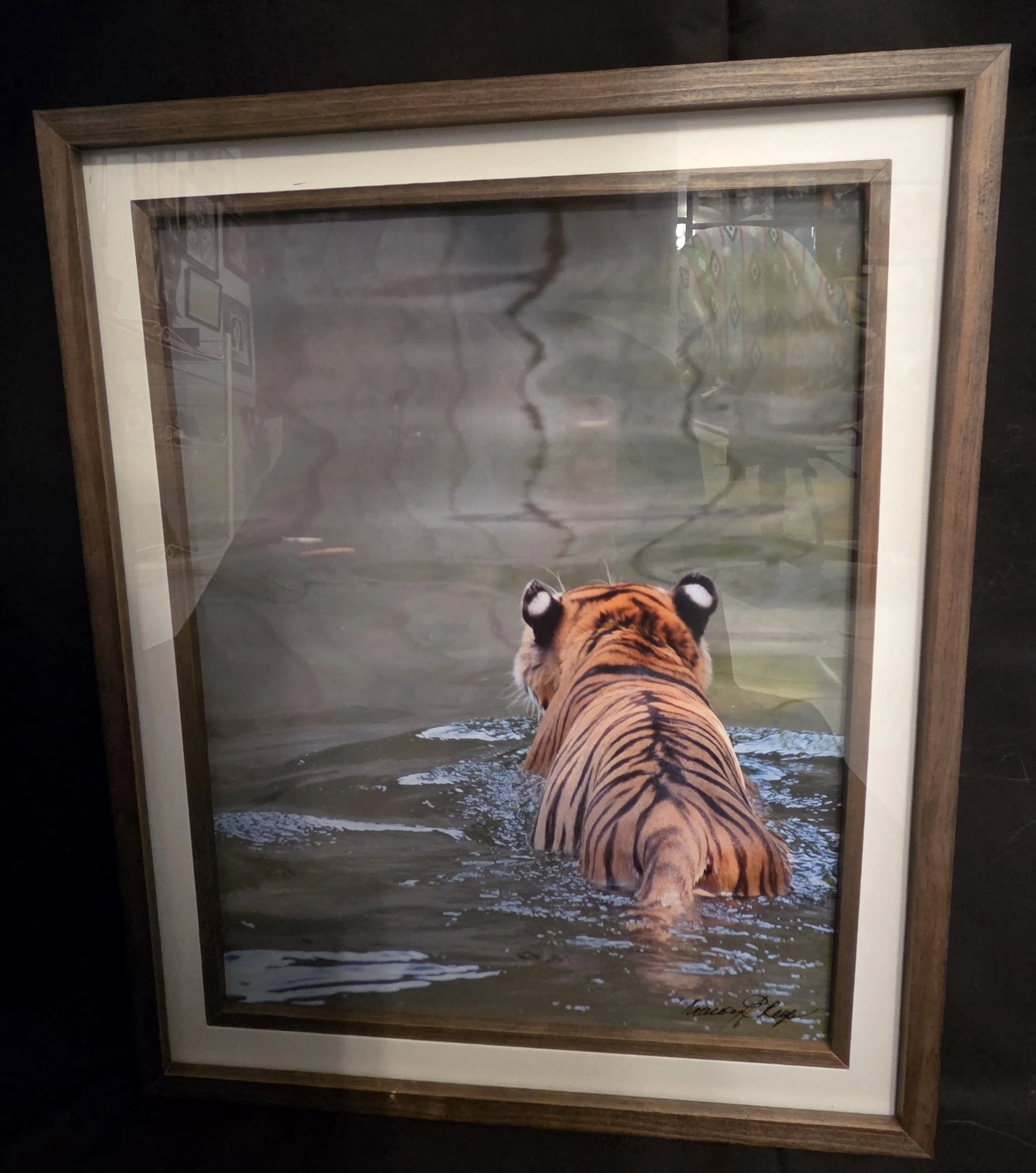 Leaving Tiger - Nancy Reyes.jpg