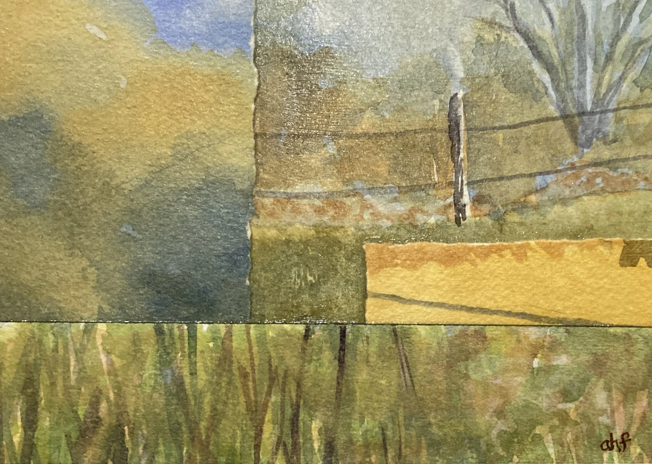 AHF660 Pasture - Anne F..jpg