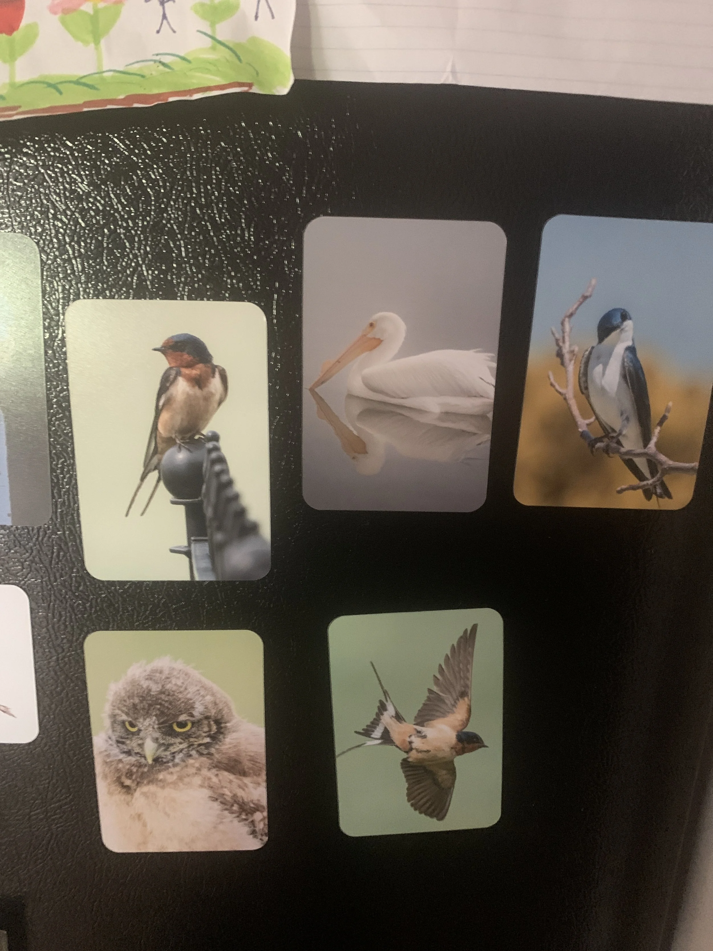 image - Clare Hayes.jpg