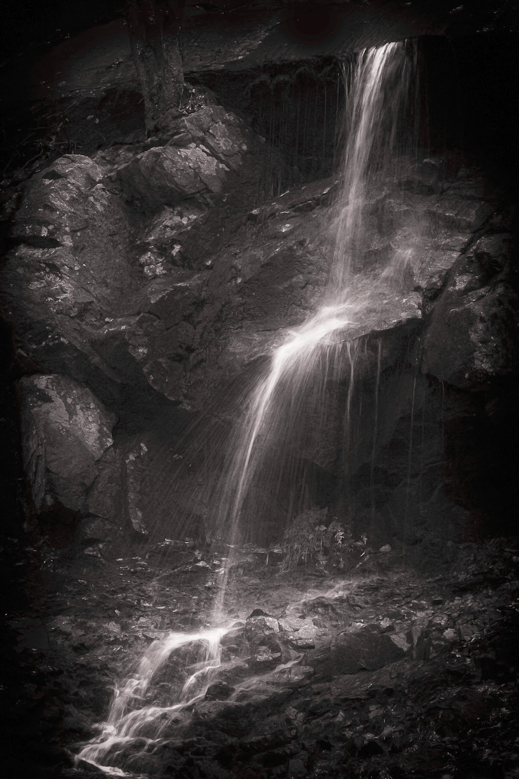 Water Sprite - Jim Sabiston.jpg