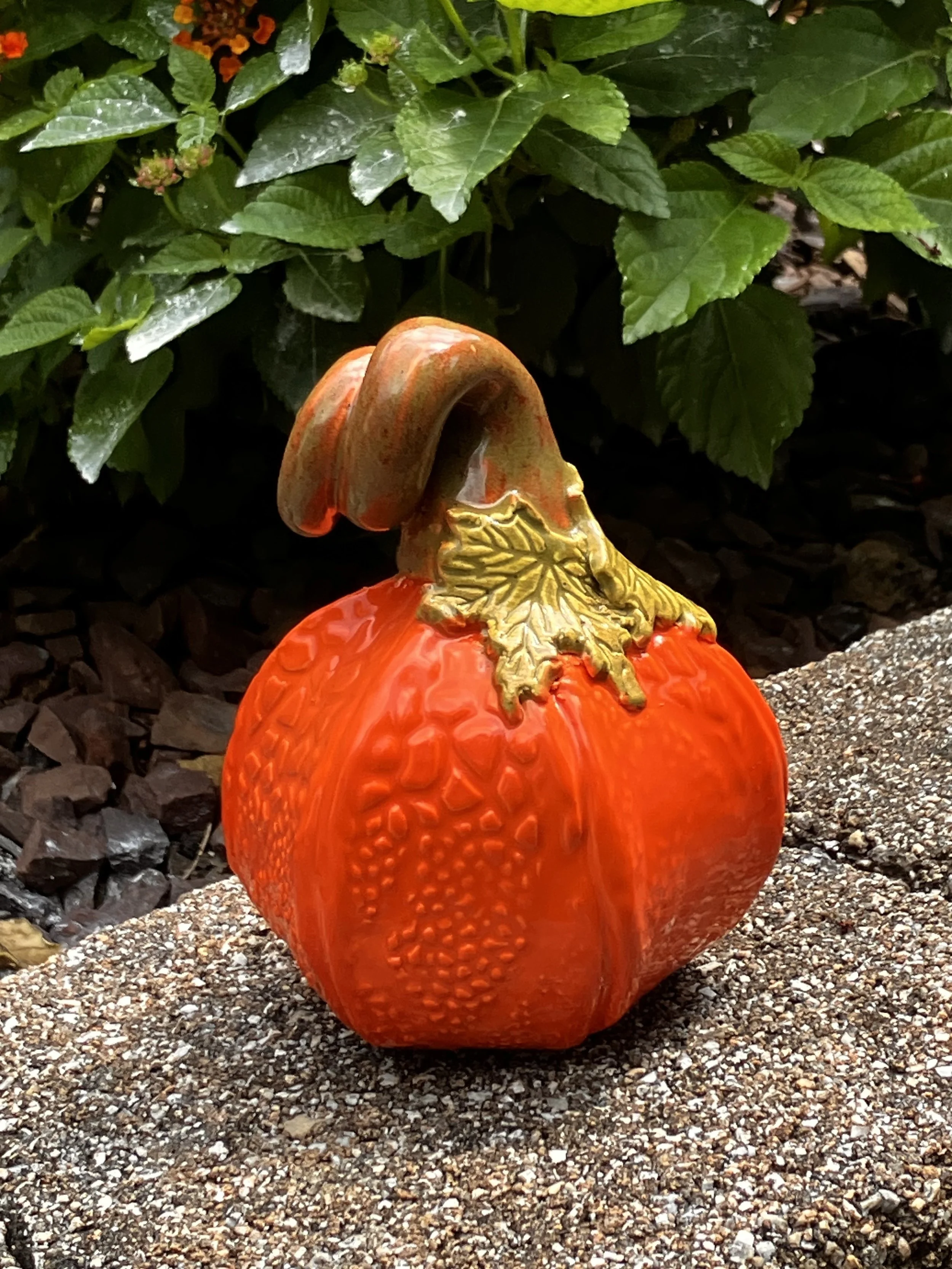 Orange Pumpkin - sherree devor.jpg