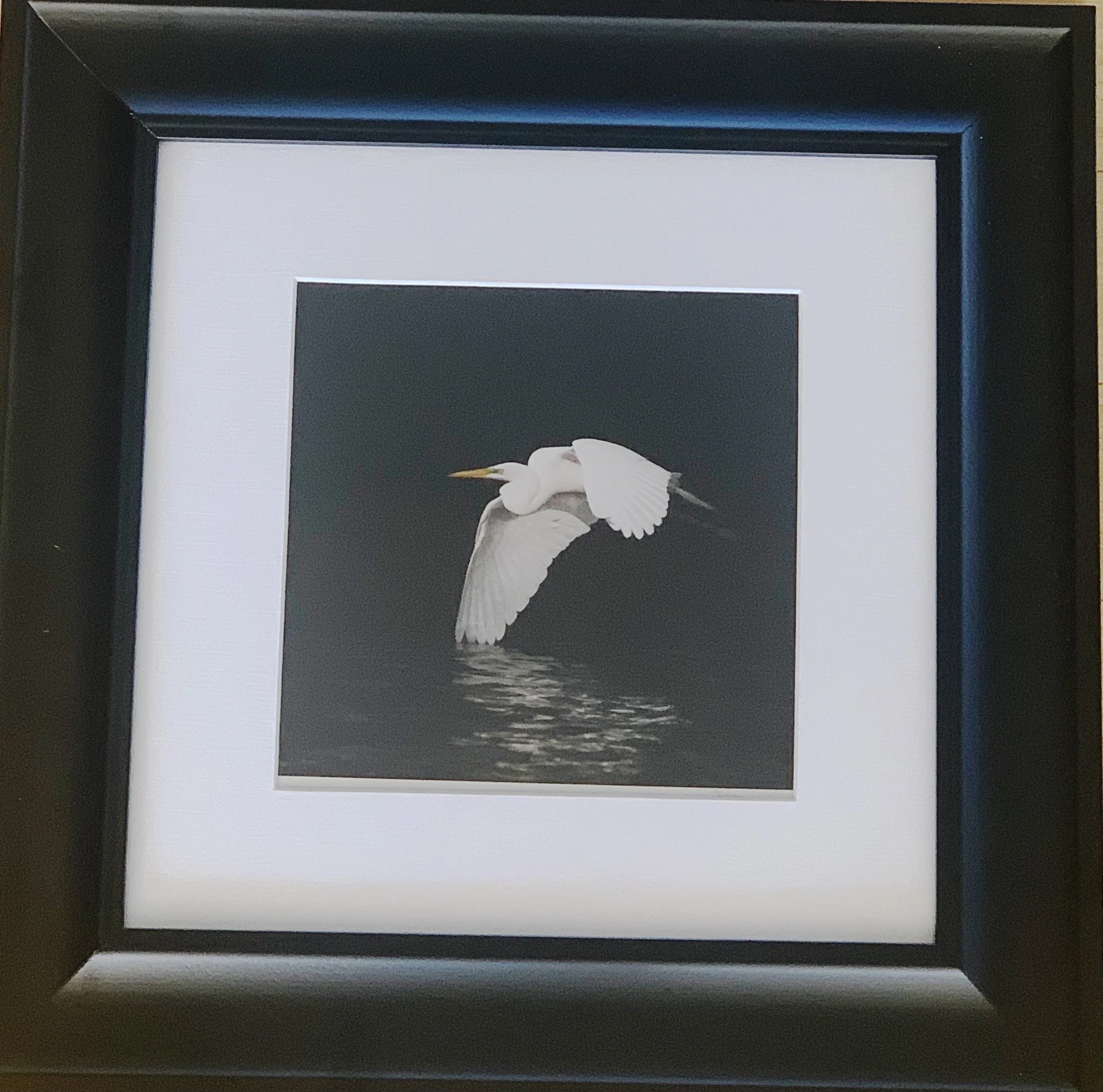 ACS_2017 - Clare Hayes.jpeg