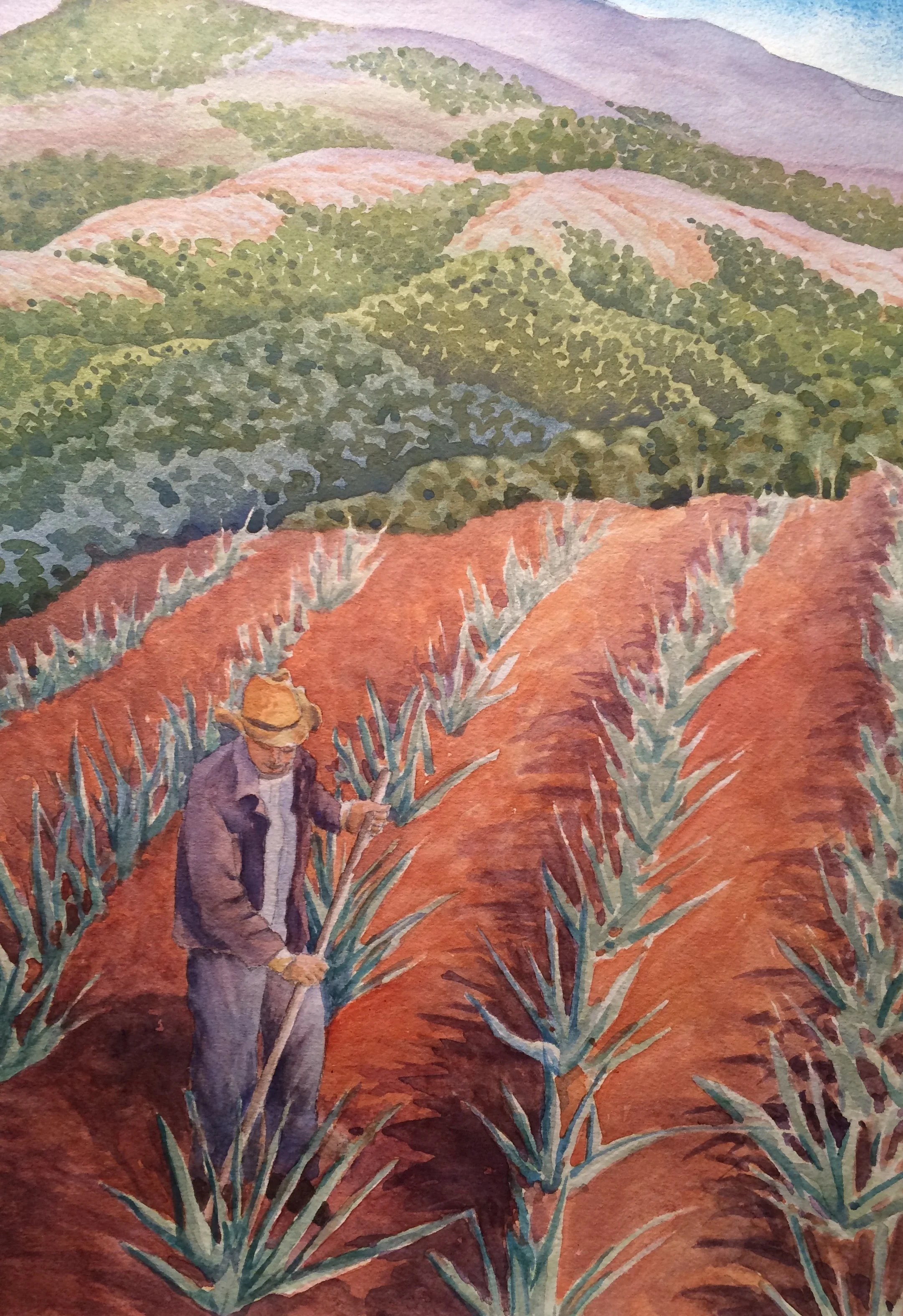 Anne Finucane Agave Fields	watercolor	$300