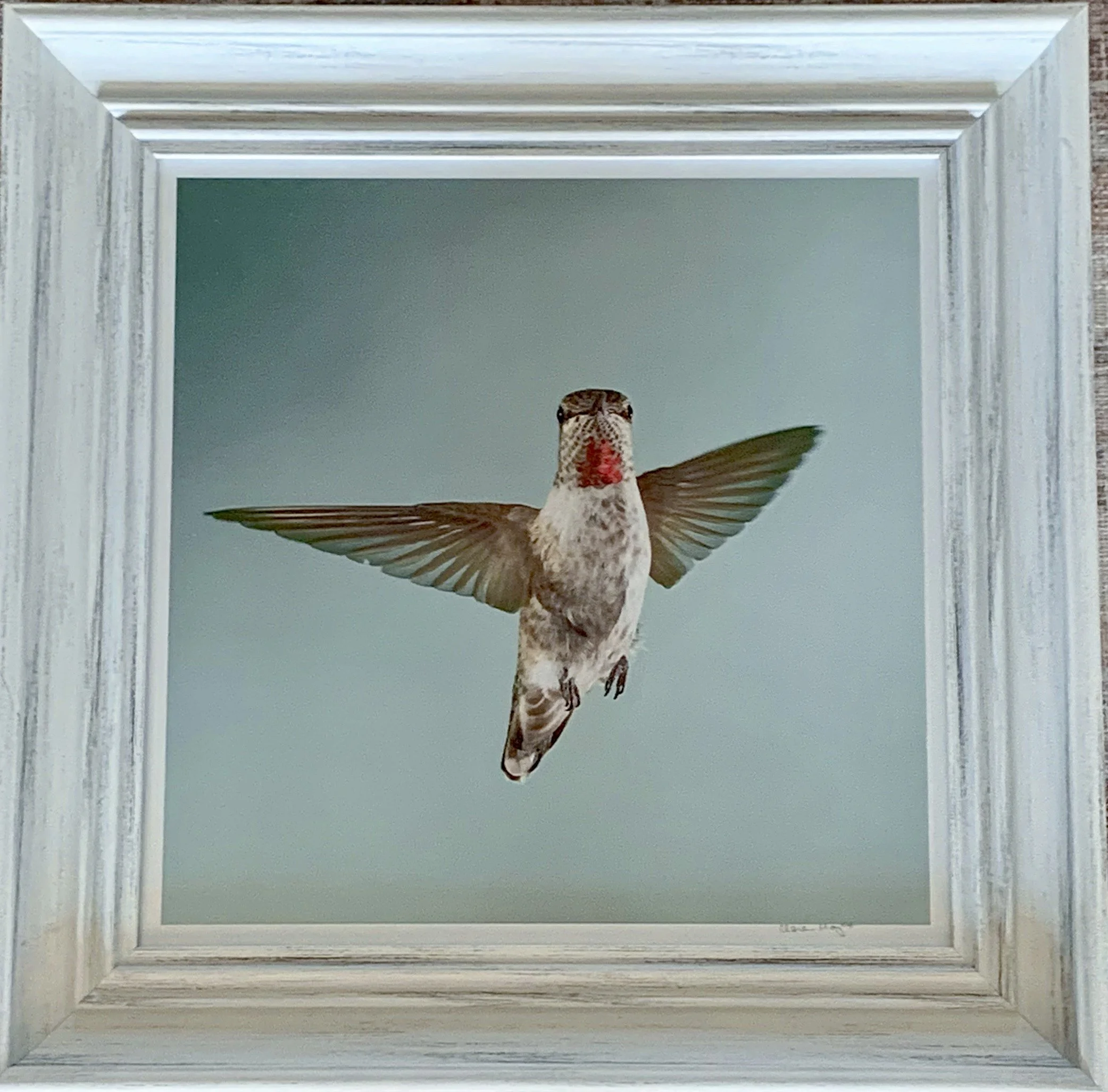 ACS_2004 - Clare Hayes.jpeg