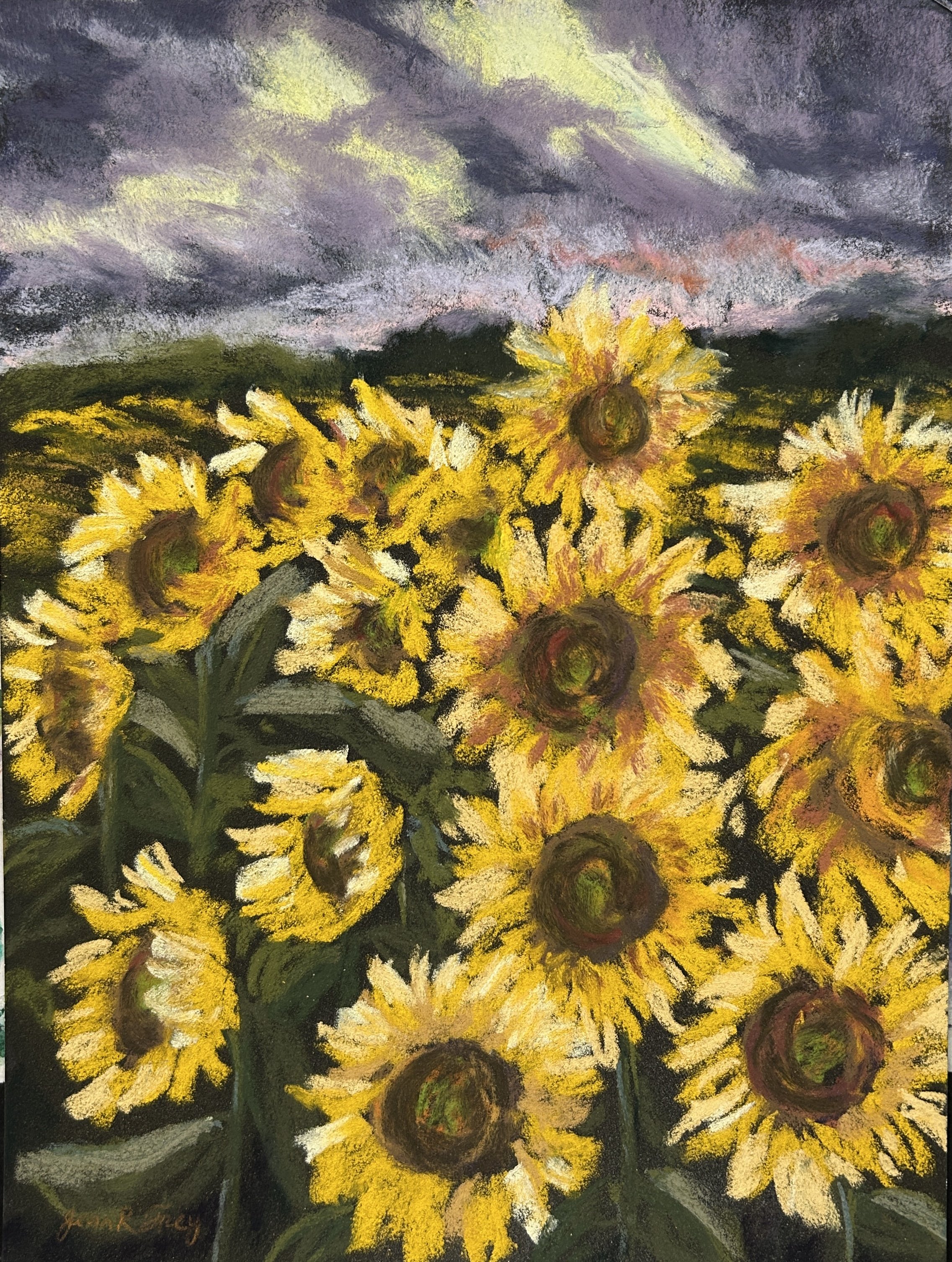Evening Sunflowers - Jean Frey.jpg