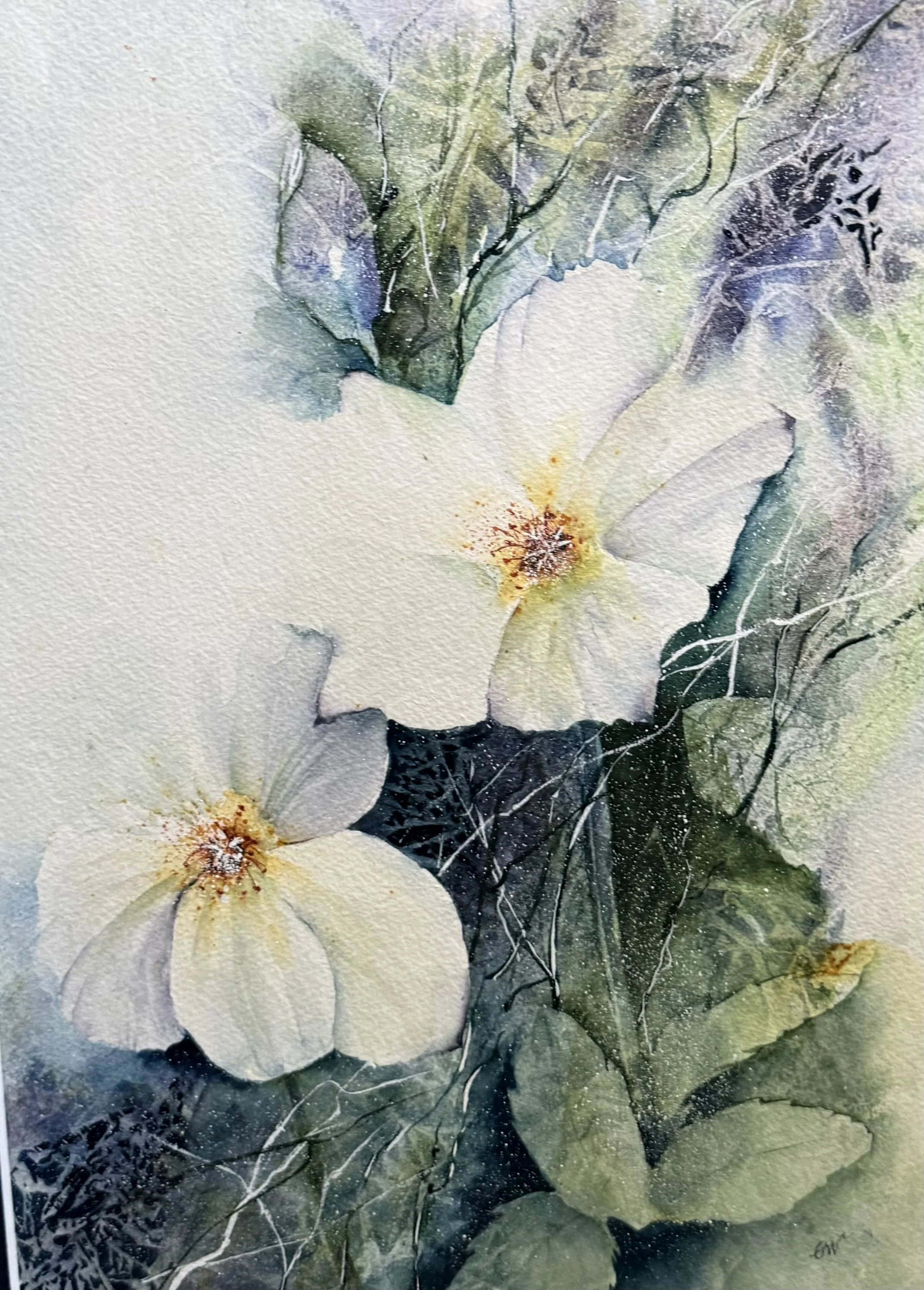 IMG_1960 - jgwalker2003@comcast.net.jpeg