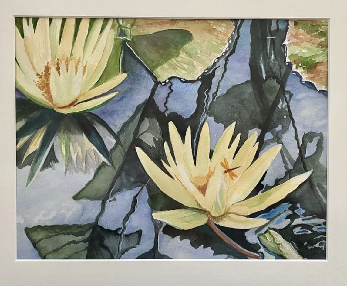Longwood Gardens Water Lilies	watercolor	$350