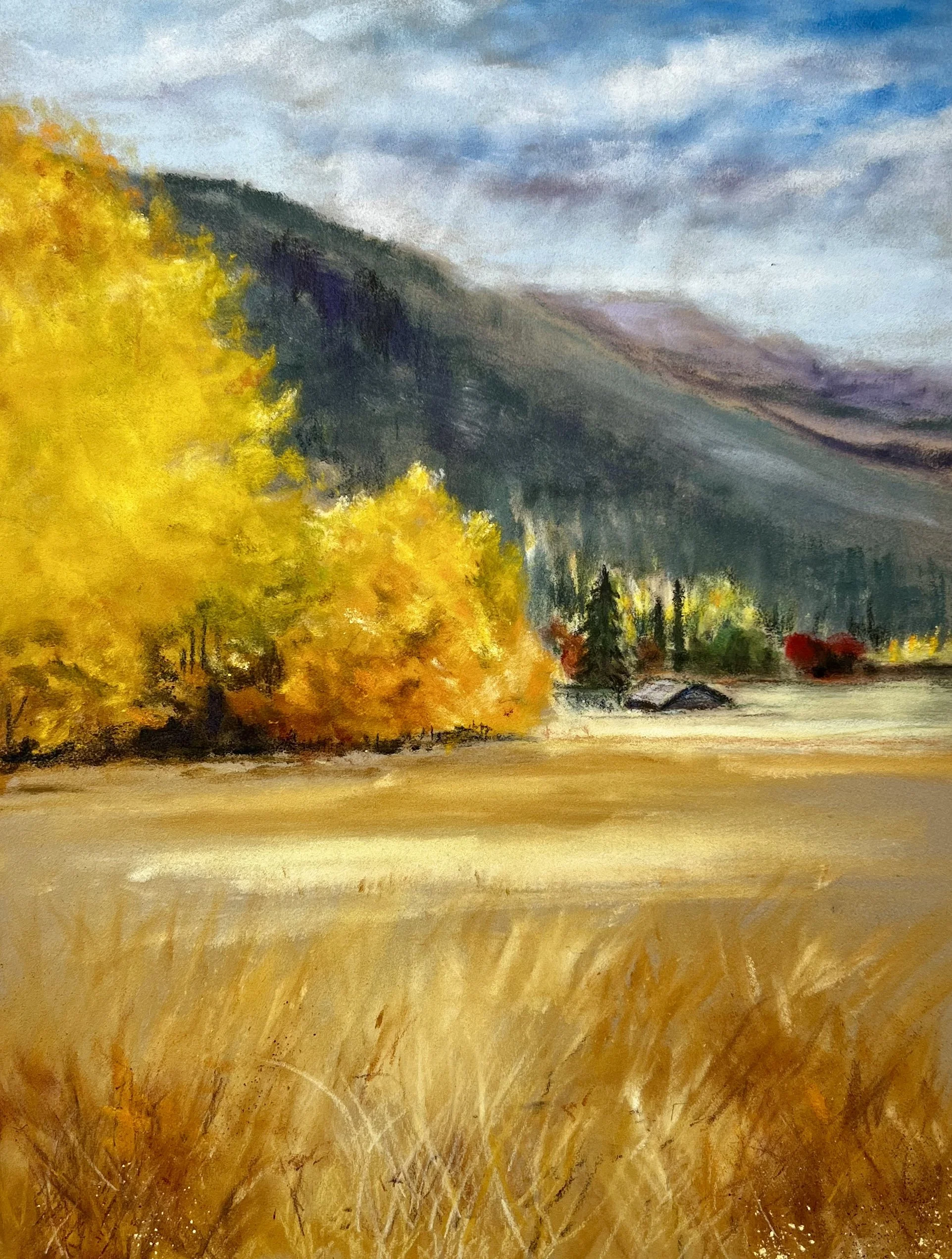 Gloria Walker - Fall Field - pastel	- GAW551 - $125 	