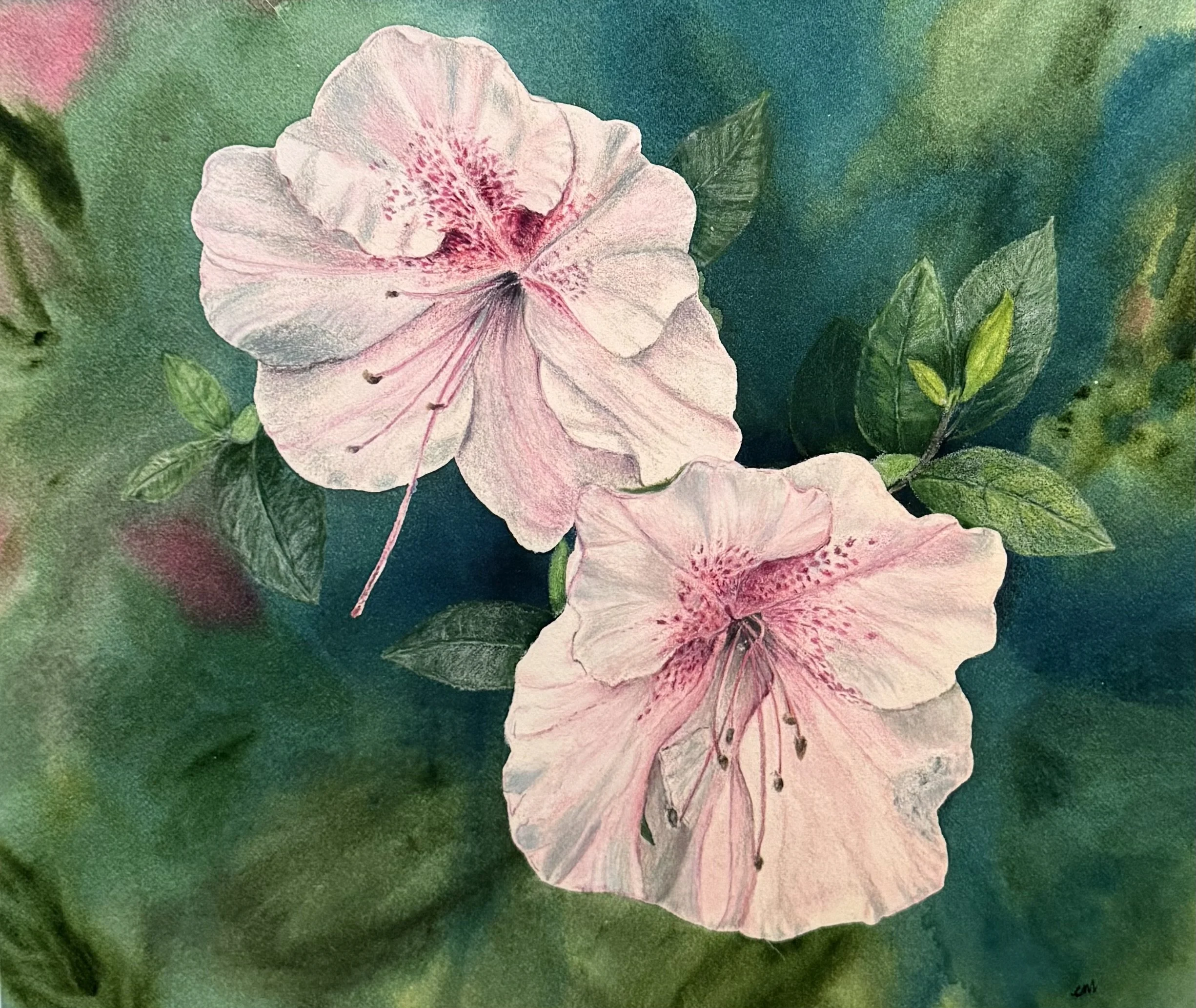 IMG_1982 - jgwalker2003@comcast.net.jpeg